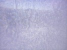 Thumbnail 10:20am Saturday 14th of June 2025
