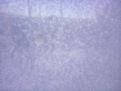 Thumbnail 10:30am Saturday 14th of June 2025