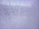 Thumbnail 10:50am Saturday 14th of June 2025