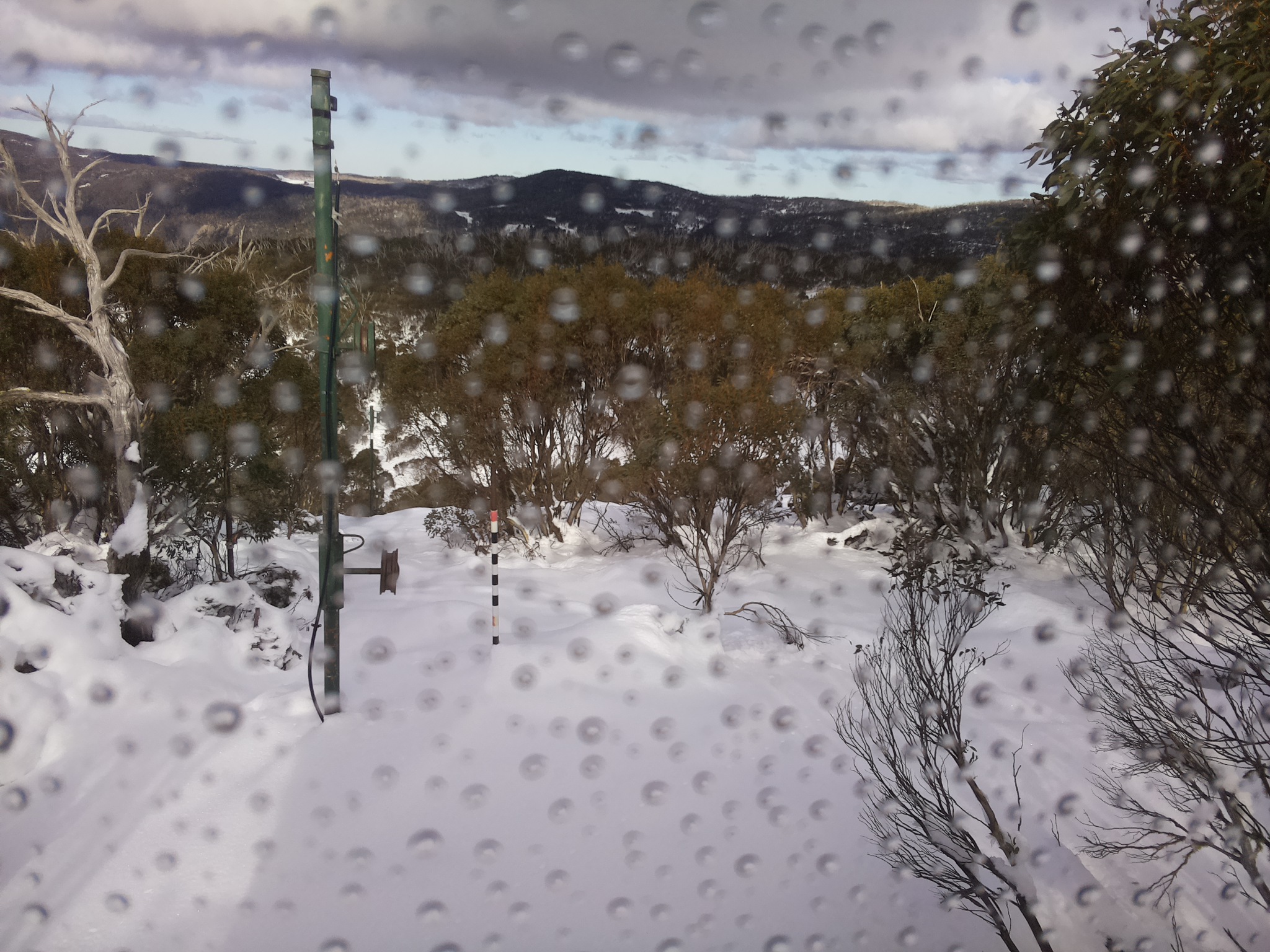 Bogong Web Cam 1:50pm Saturday 14th of June 2025