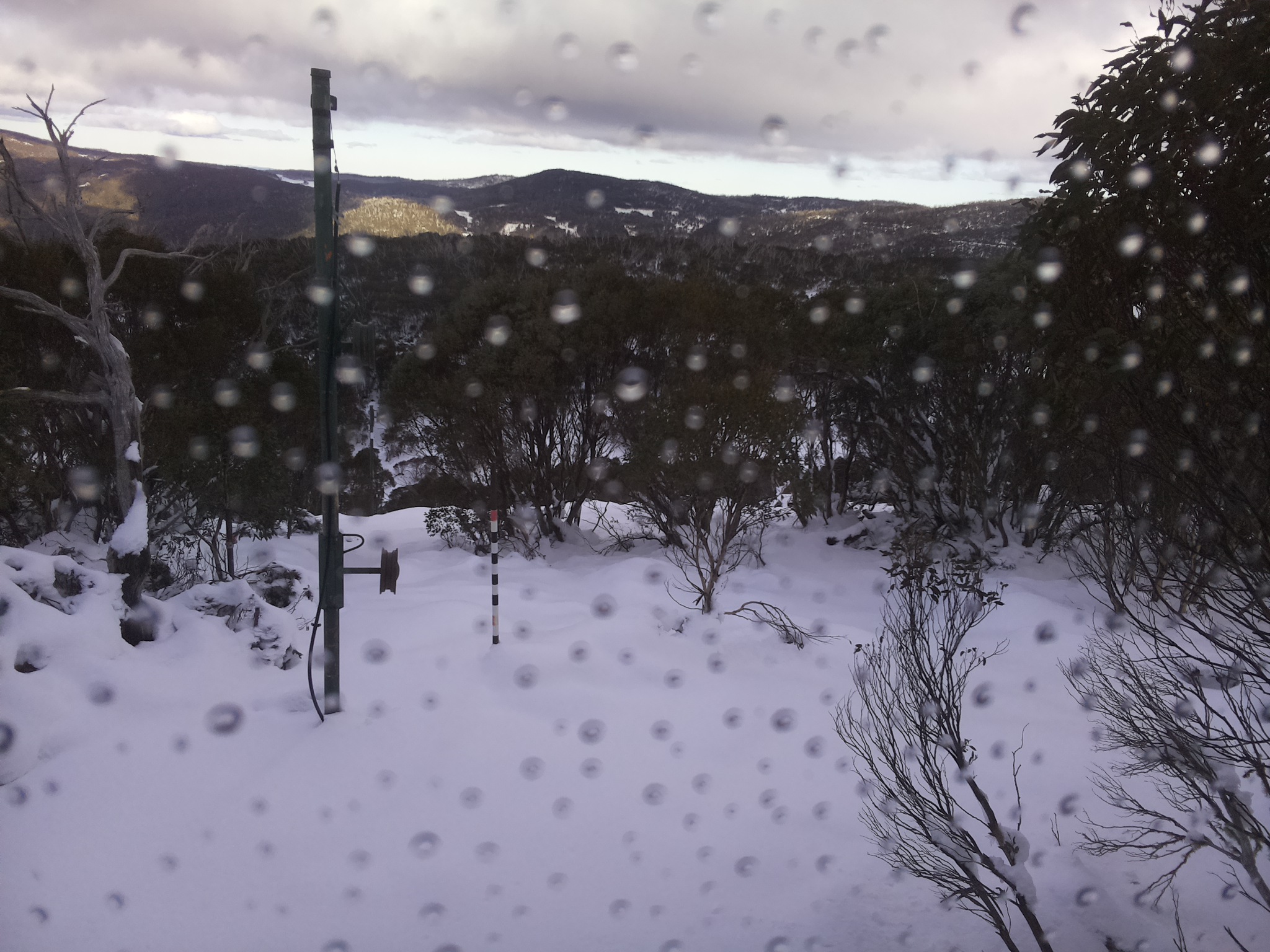 Bogong Web Cam 2:50pm Saturday 14th of June 2025