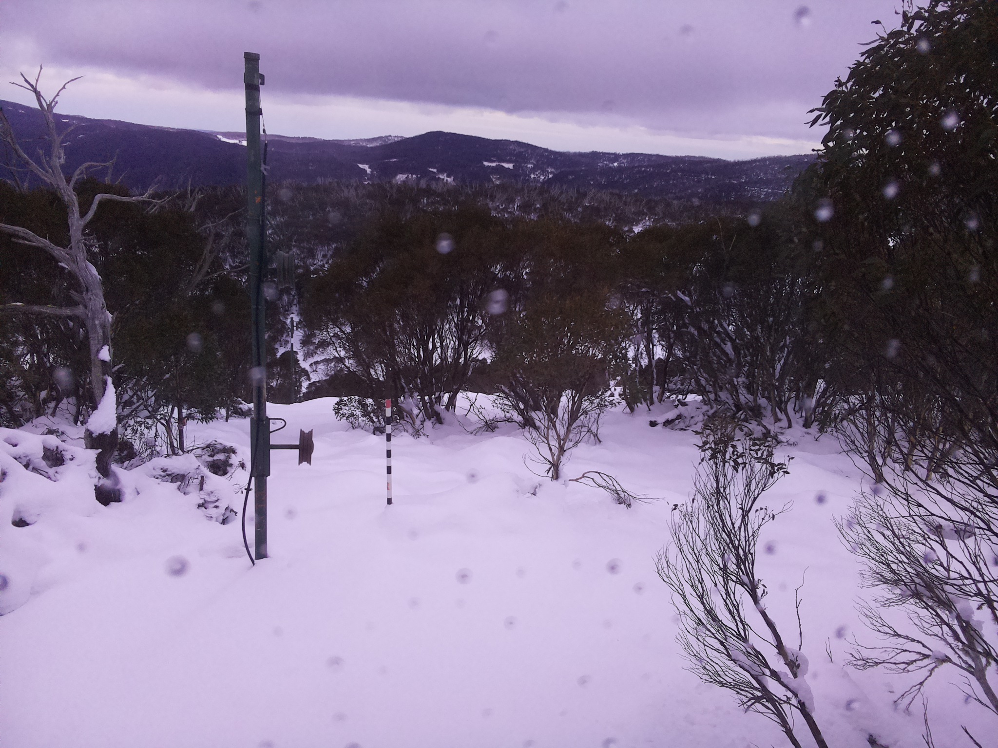 Bogong Web Cam 4:50pm Saturday 14th of June 2025