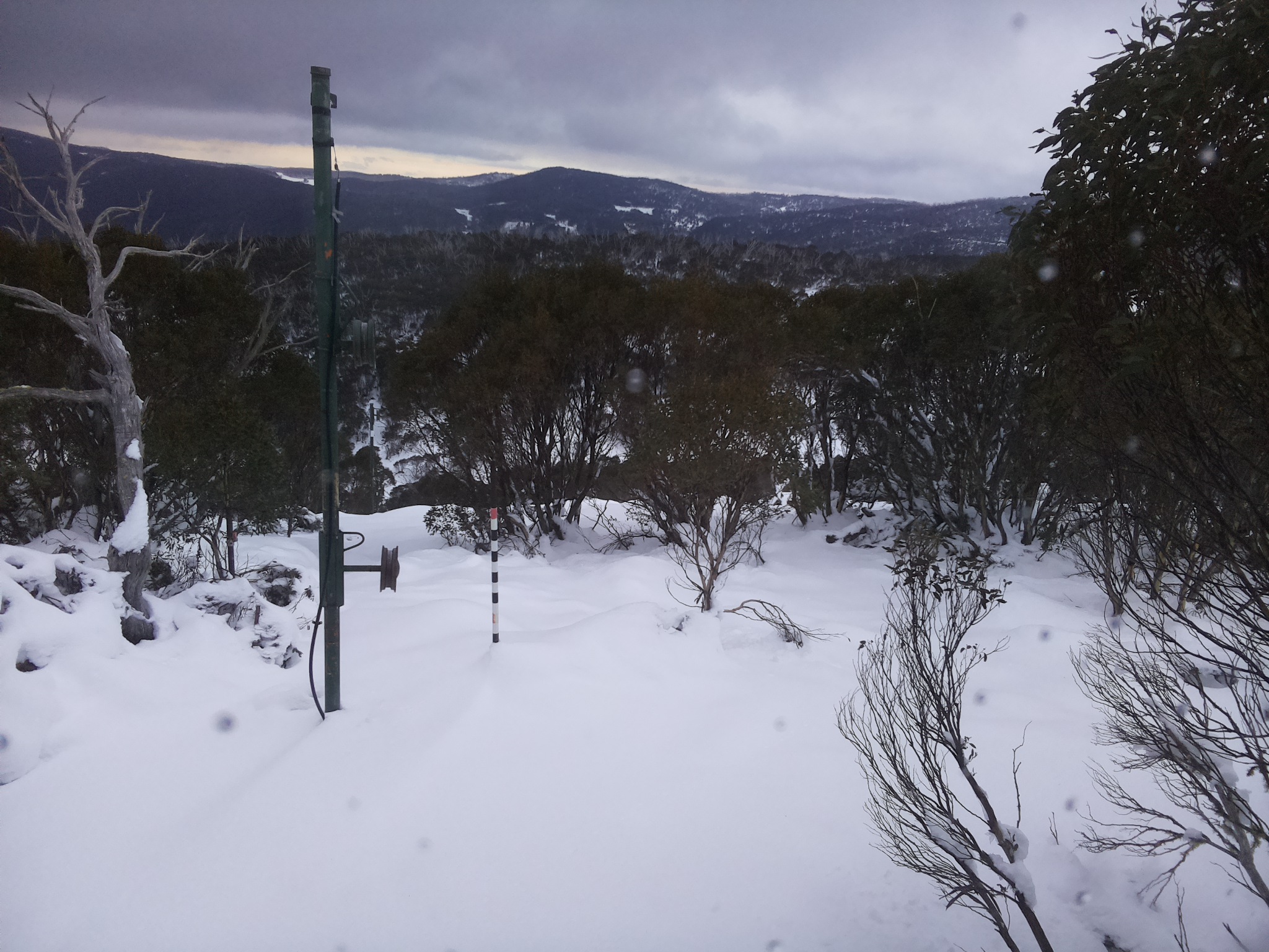 Bogong Web Cam 8:00am Sunday 15th of June 2025