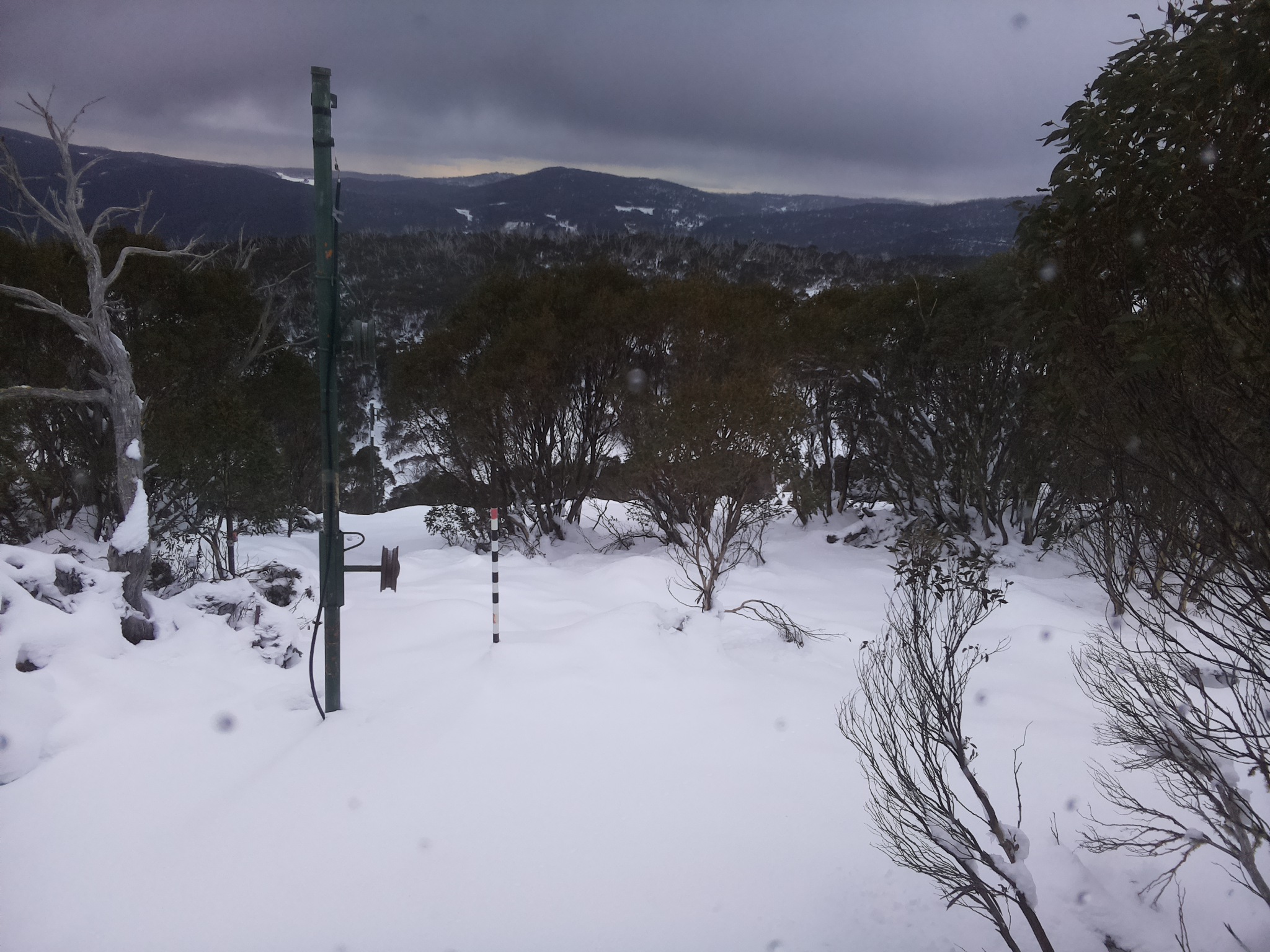 Bogong Web Cam 8:10am Sunday 15th of June 2025