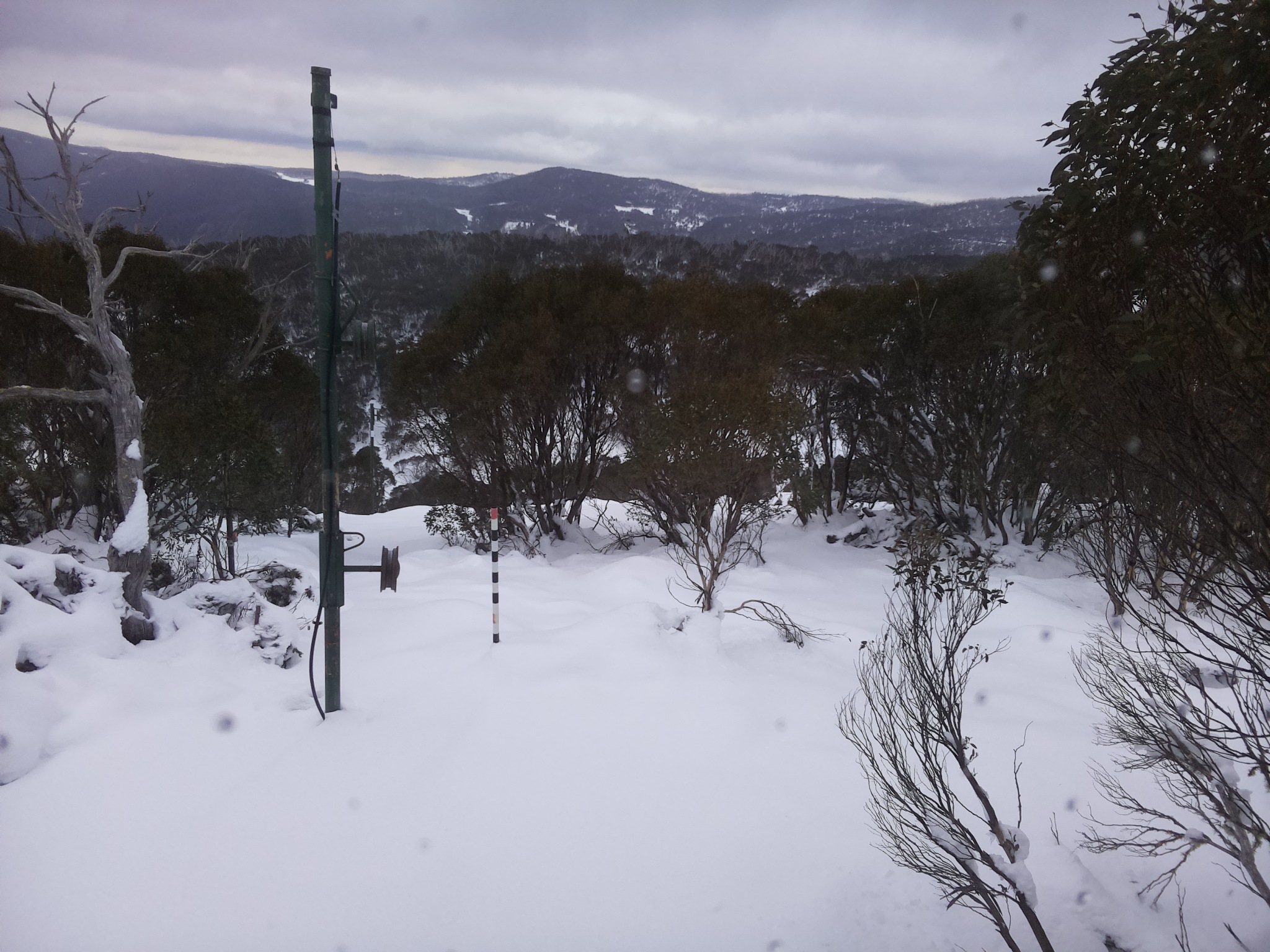 Bogong Web Cam 8:20am Sunday 15th of June 2025