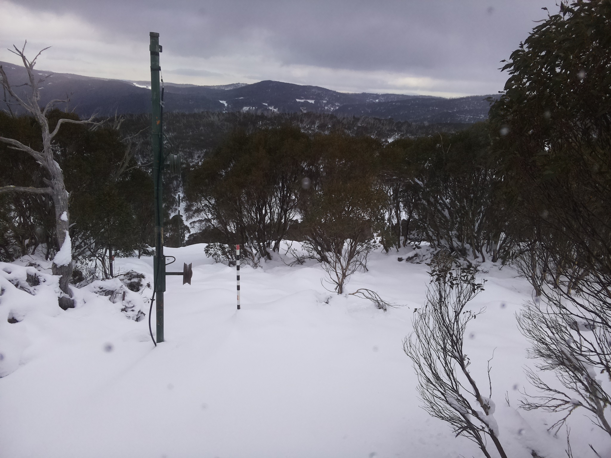 Bogong Web Cam 8:30am Sunday 15th of June 2025