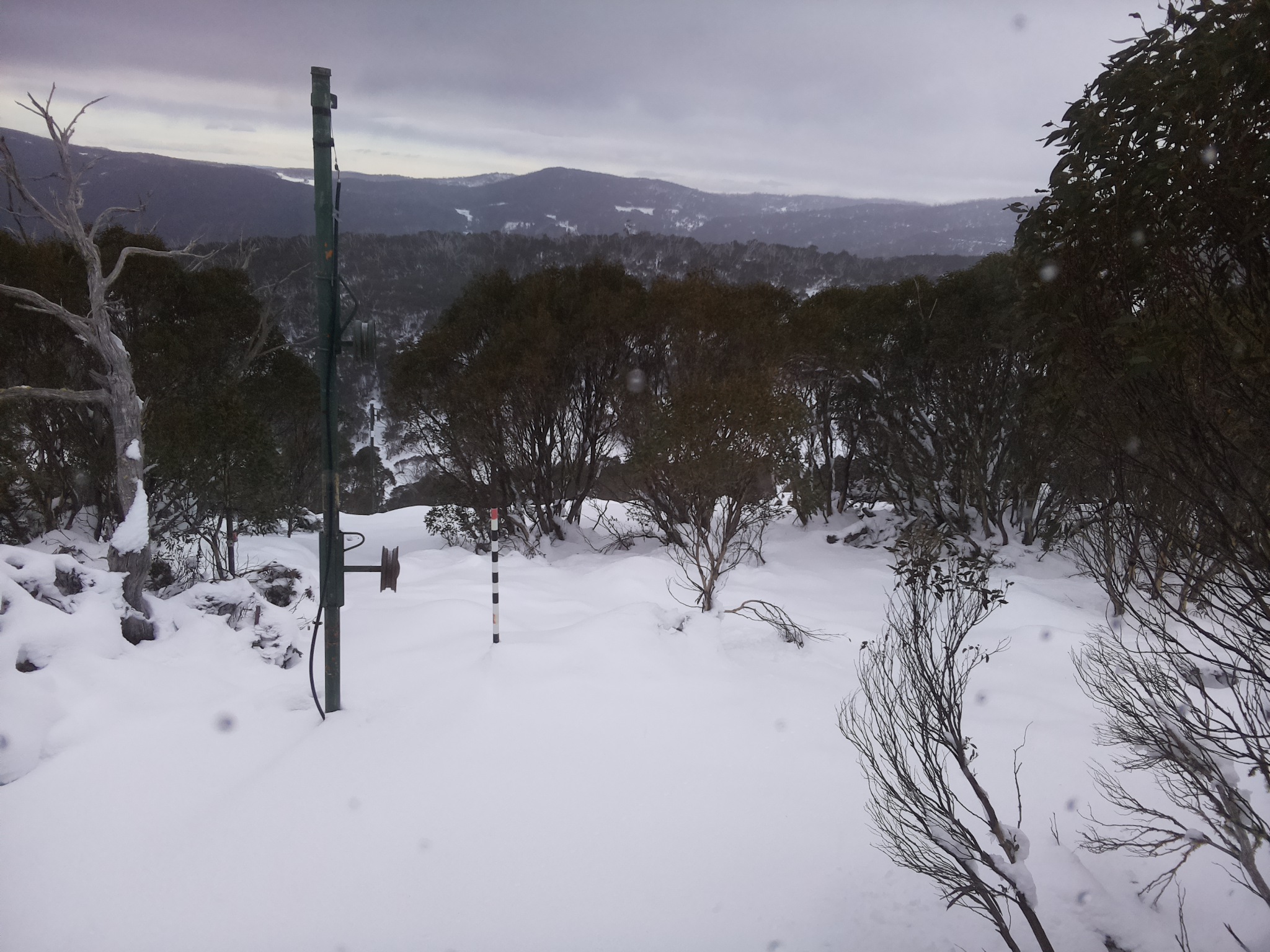 Bogong Web Cam 8:40am Sunday 15th of June 2025