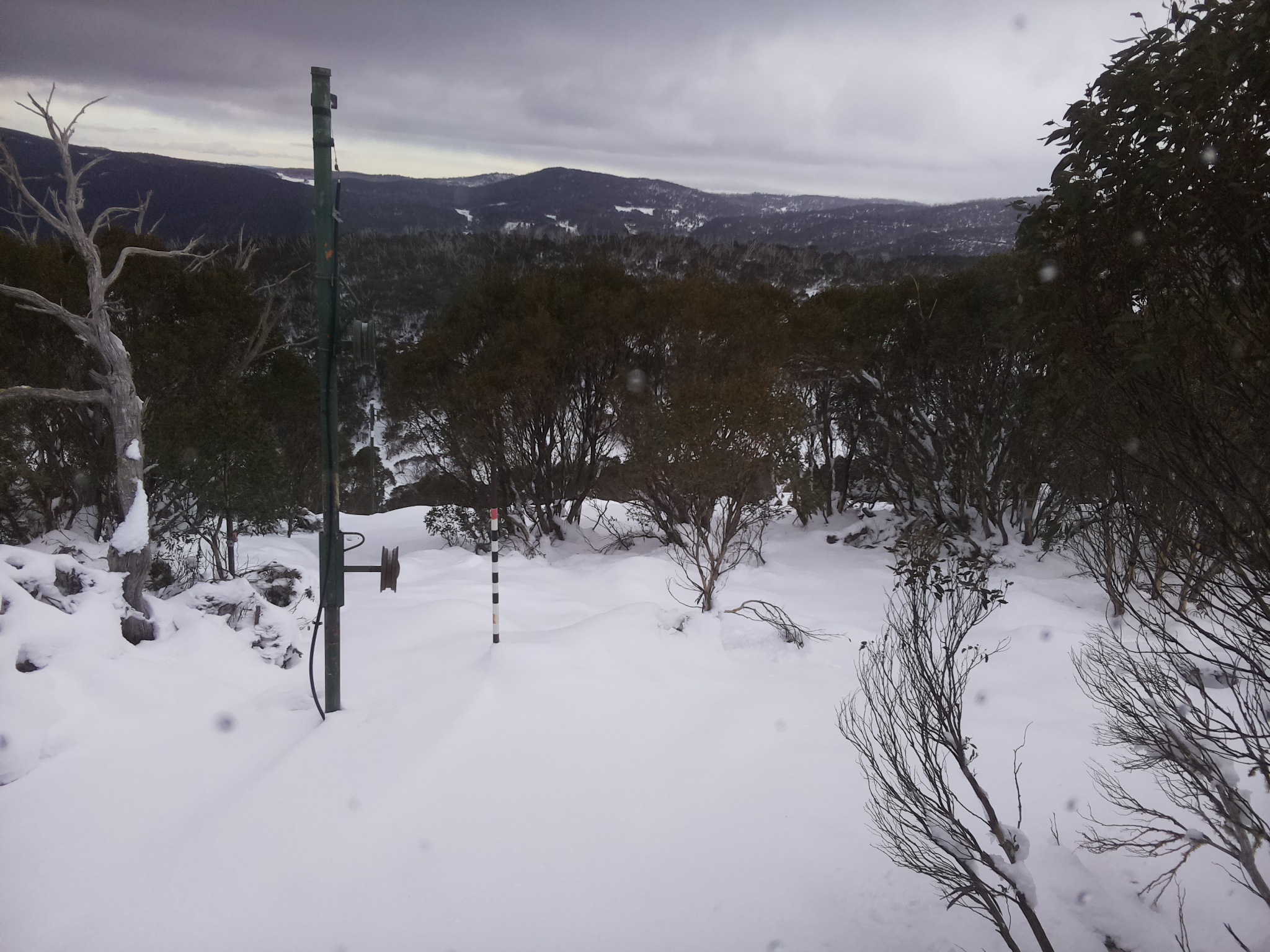 Bogong Web Cam 8:50am Sunday 15th of June 2025