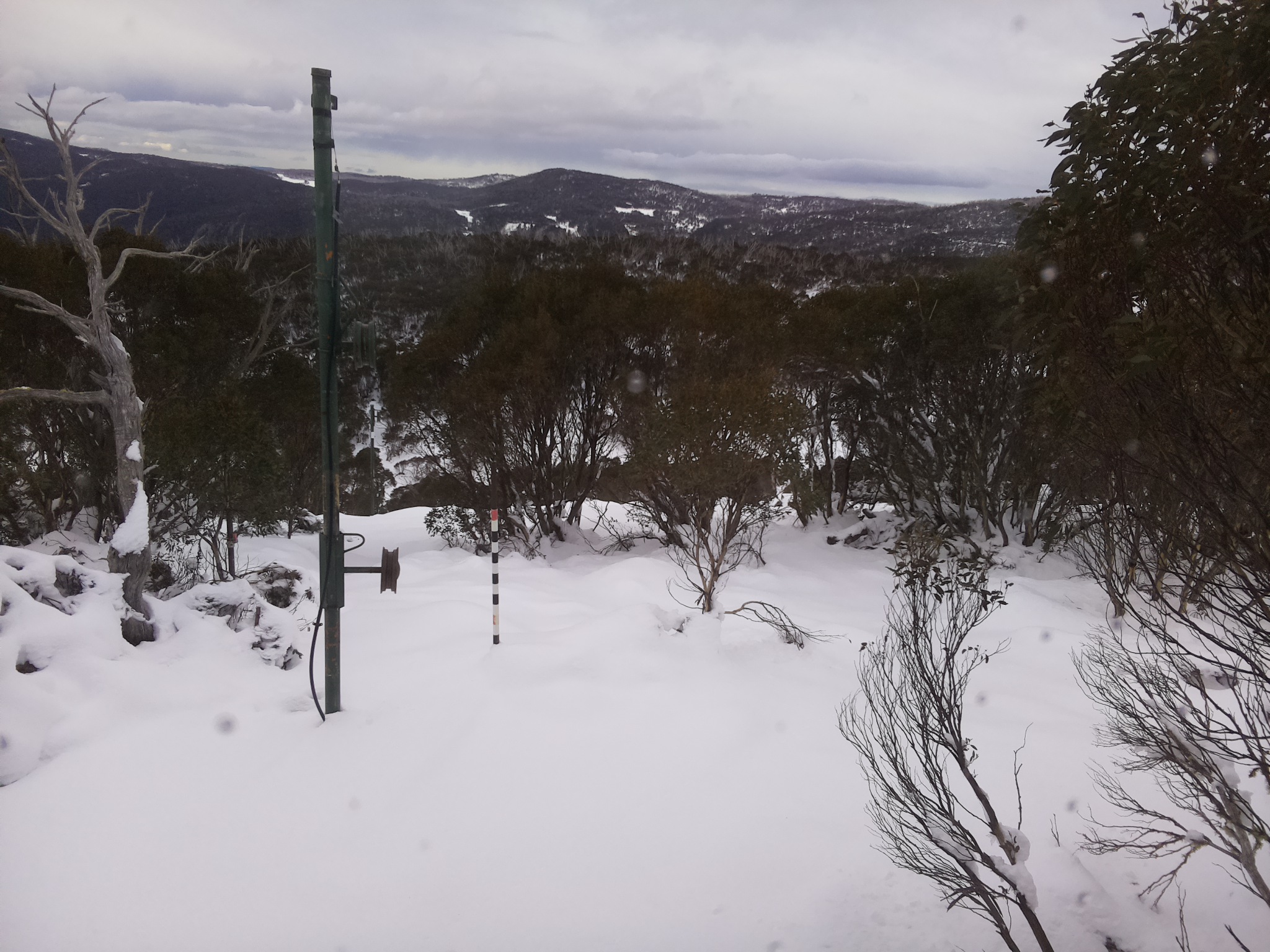 Bogong Web Cam 9:10am Sunday 15th of June 2025