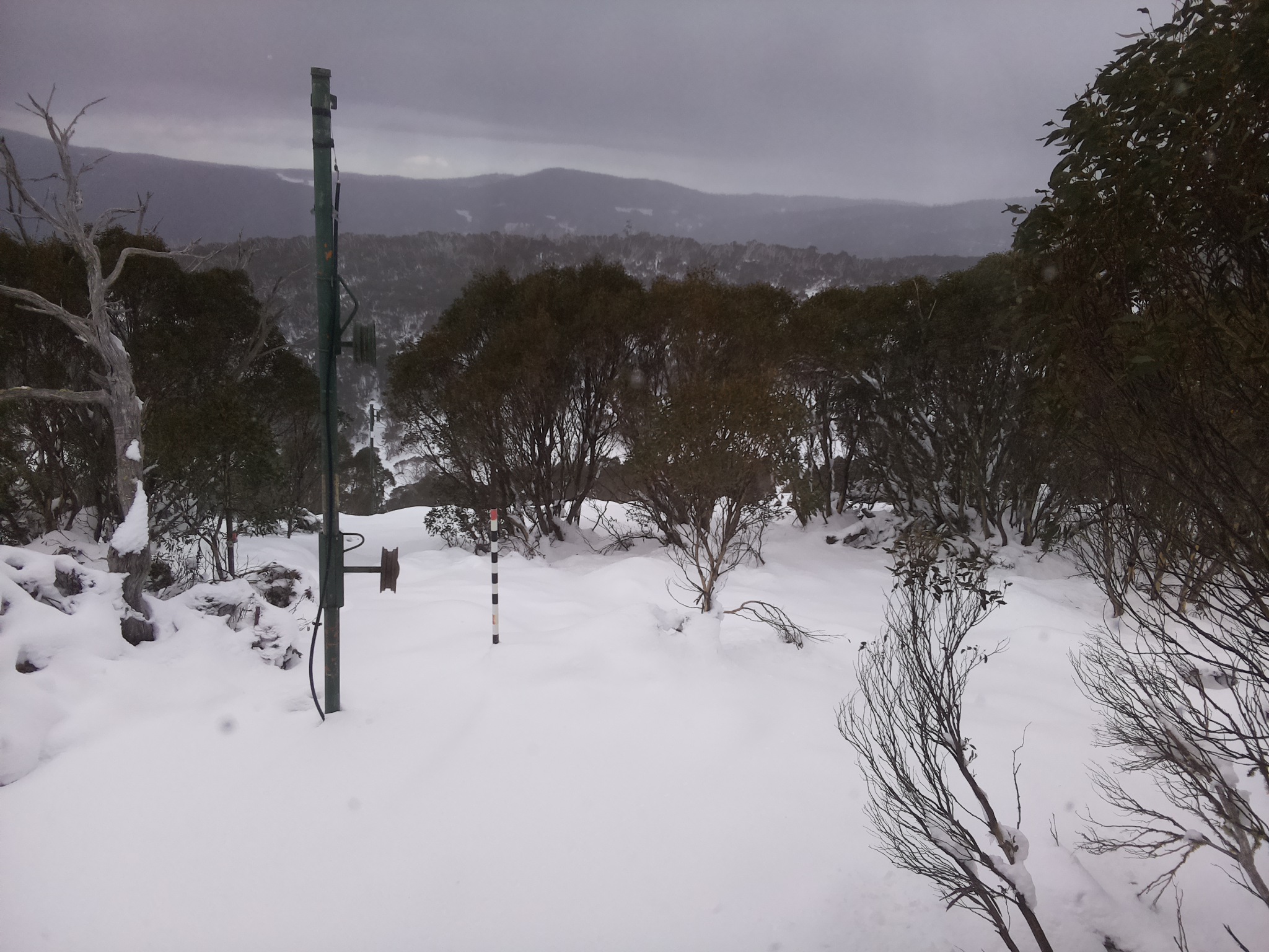 Bogong Web Cam 10:00am Sunday 15th of June 2025