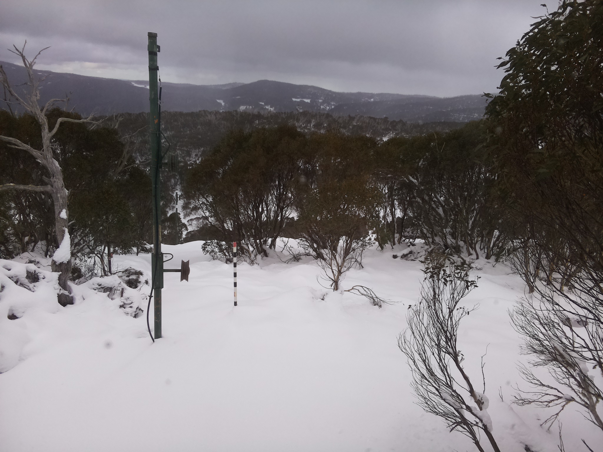 Bogong Web Cam 10:10am Sunday 15th of June 2025