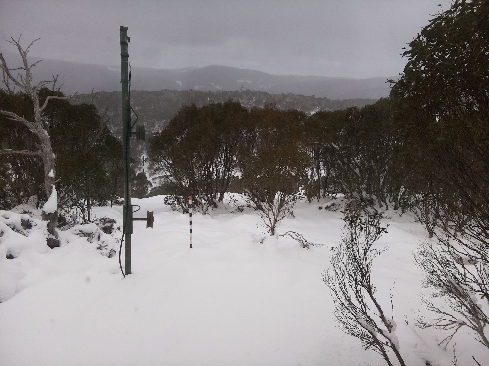 Bogong Web Cam 10:30am Sunday 15th of June 2025