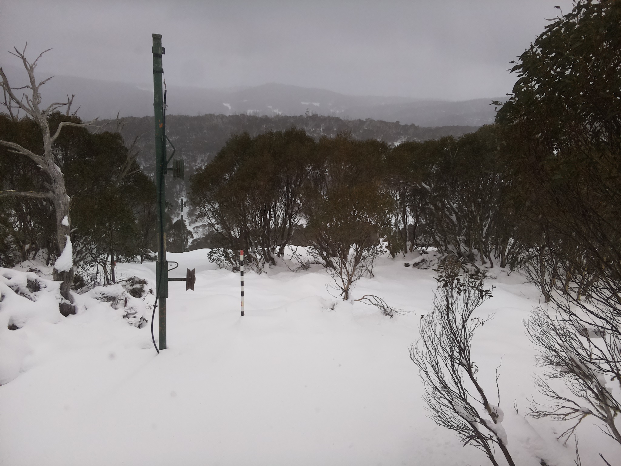 Bogong Web Cam 10:40am Sunday 15th of June 2025