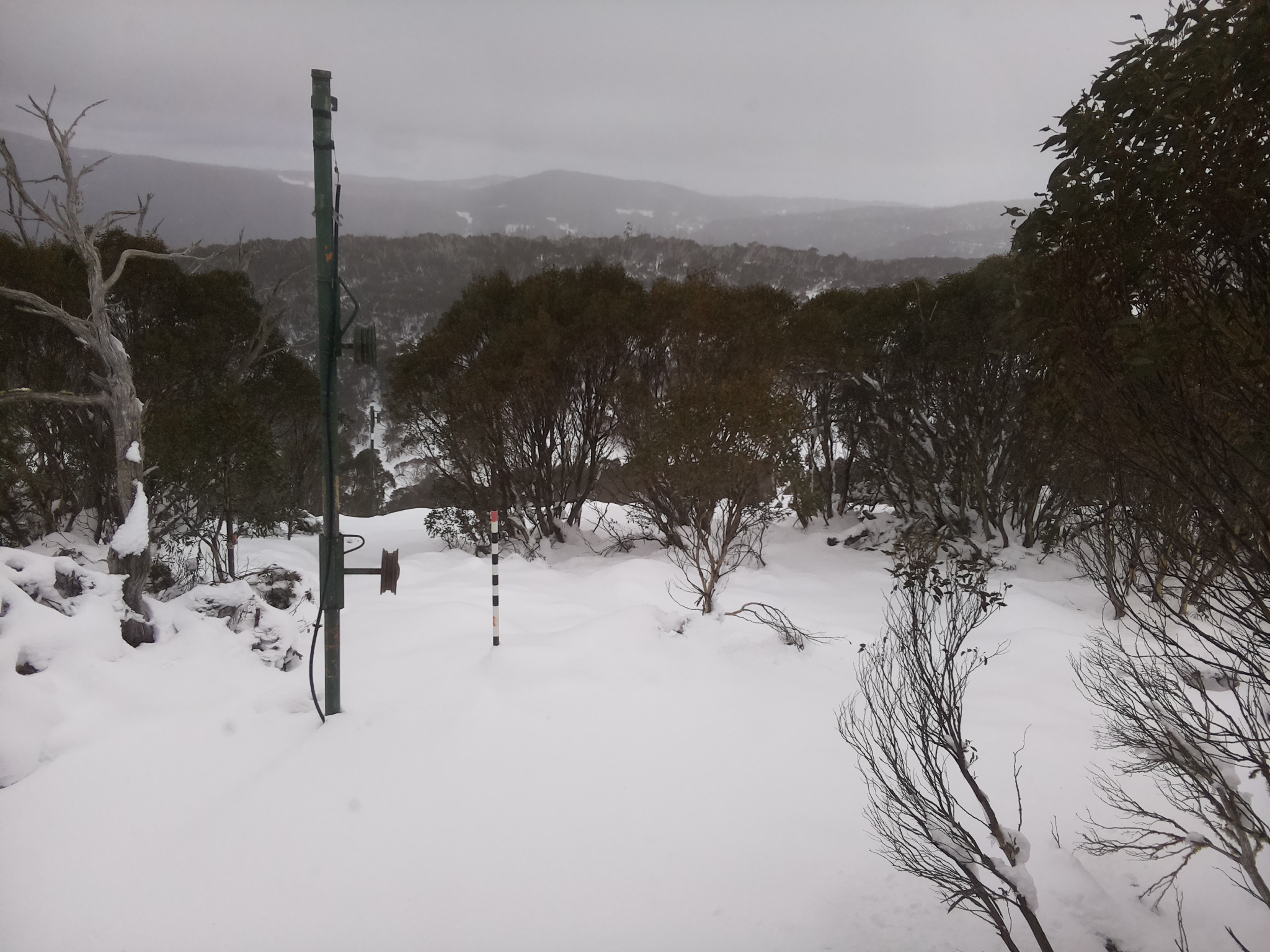 Bogong Web Cam 10:50am Sunday 15th of June 2025