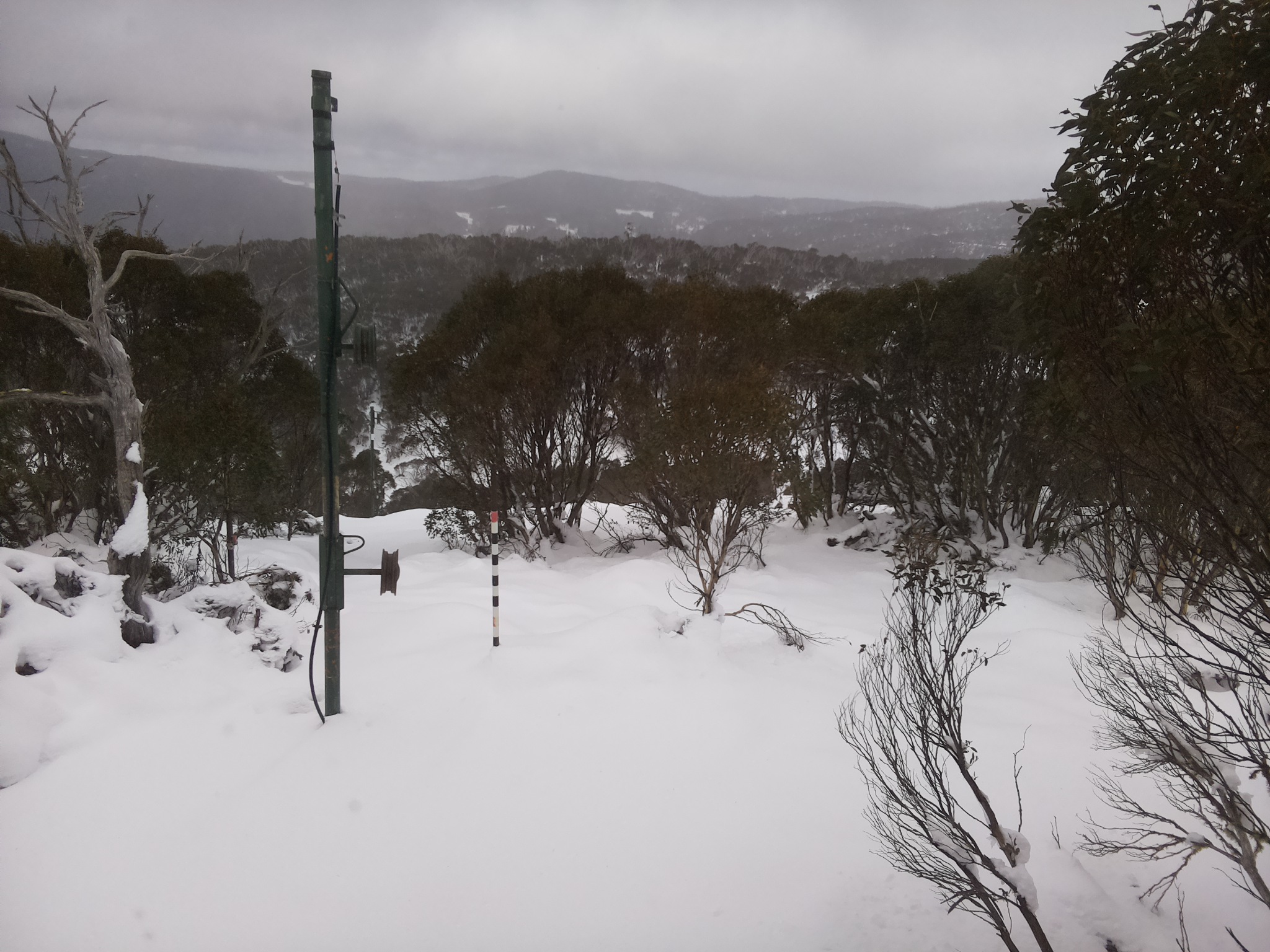 Bogong Web Cam 11:00am Sunday 15th of June 2025