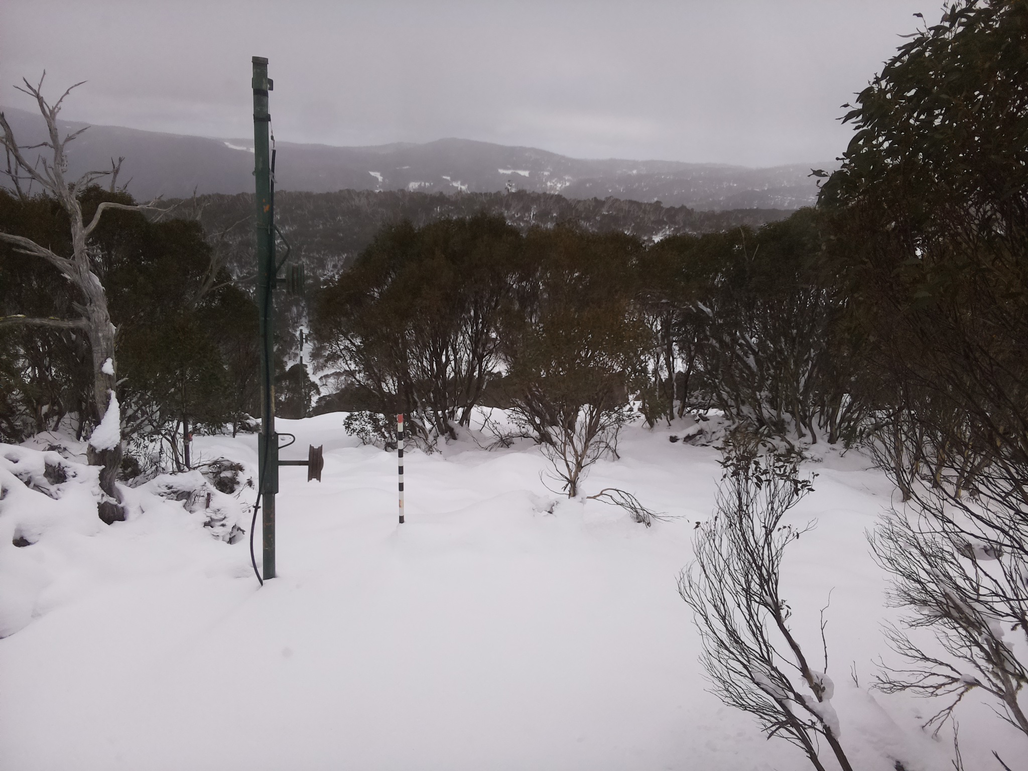 Bogong Web Cam 11:10am Sunday 15th of June 2025