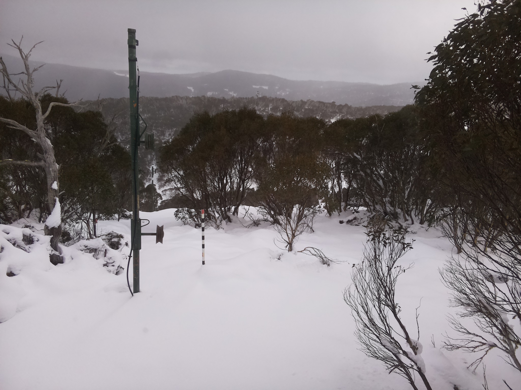Bogong Web Cam 11:20am Sunday 15th of June 2025