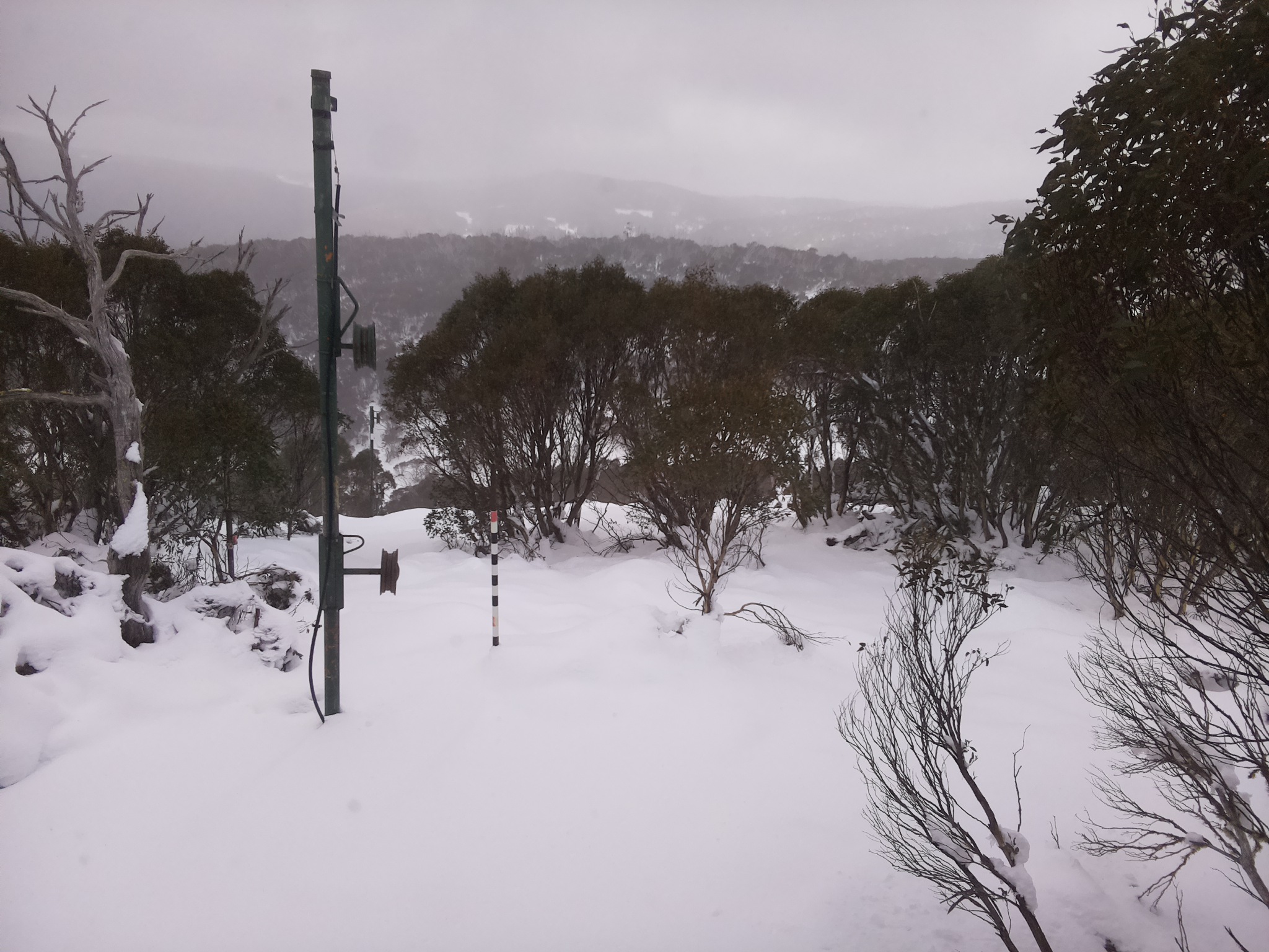 Bogong Web Cam 11:30am Sunday 15th of June 2025