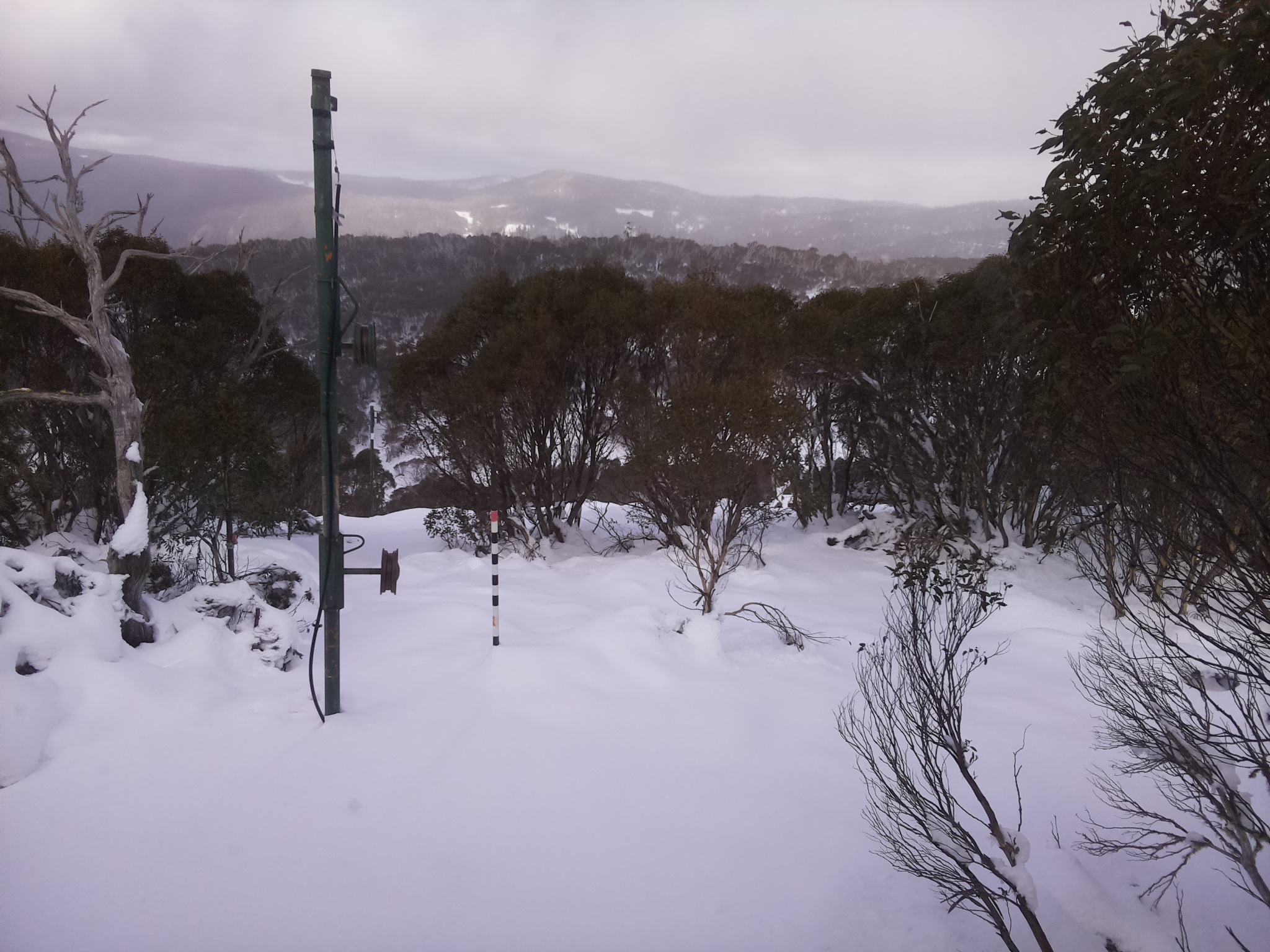 Bogong Web Cam 11:40am Sunday 15th of June 2025