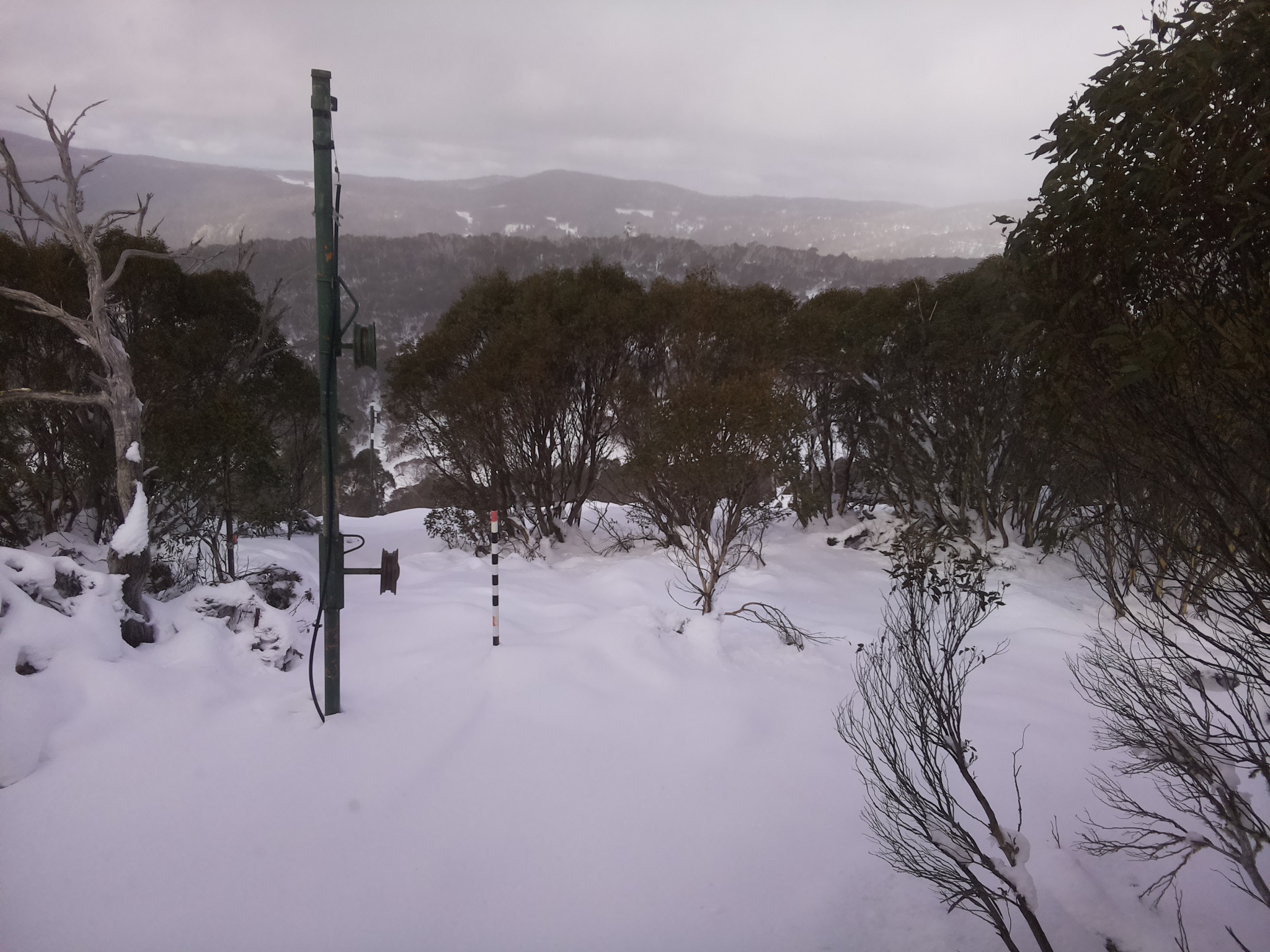 Bogong Web Cam 12:10pm Sunday 15th of June 2025
