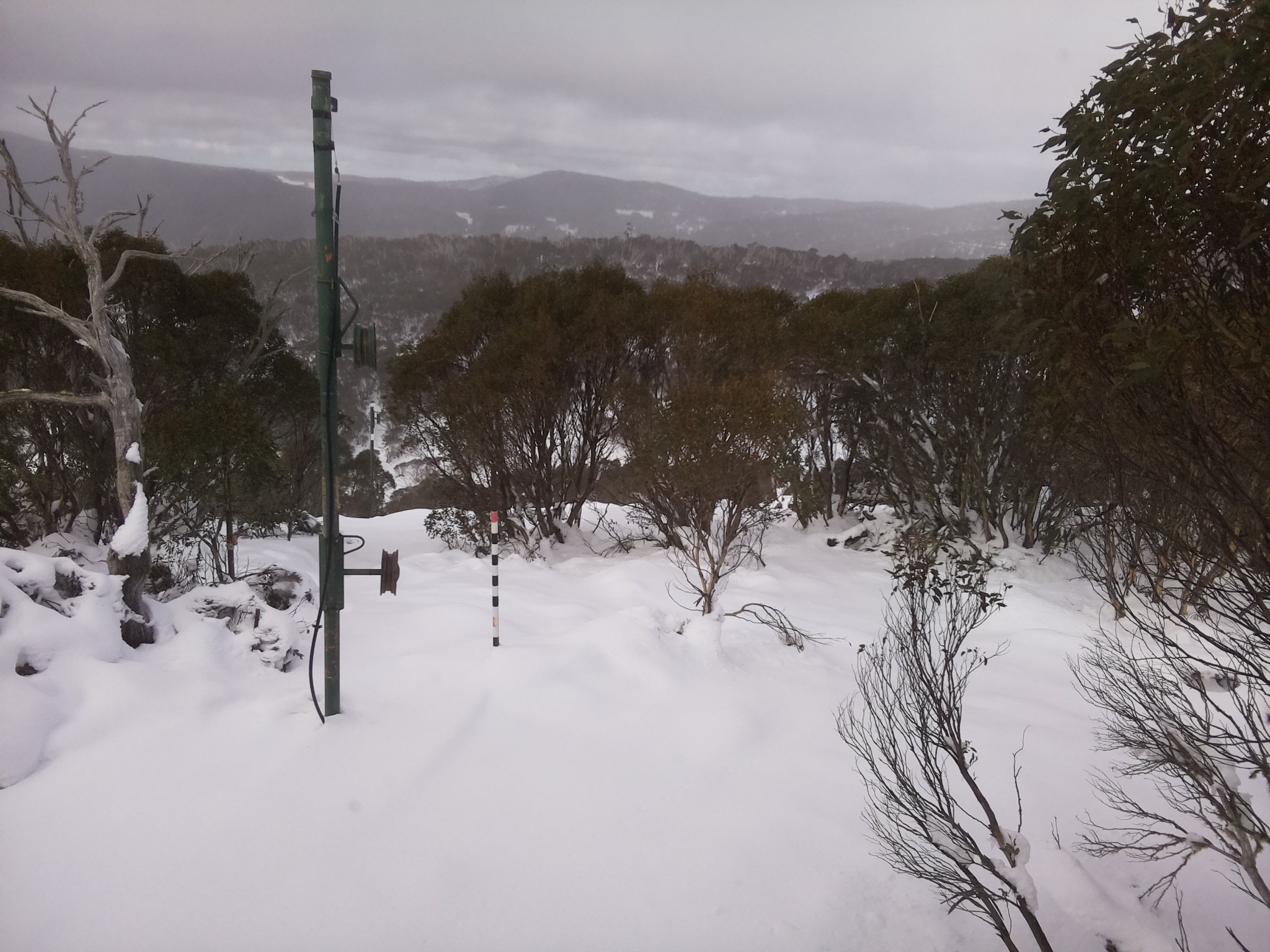 Bogong Web Cam 12:20pm Sunday 15th of June 2025