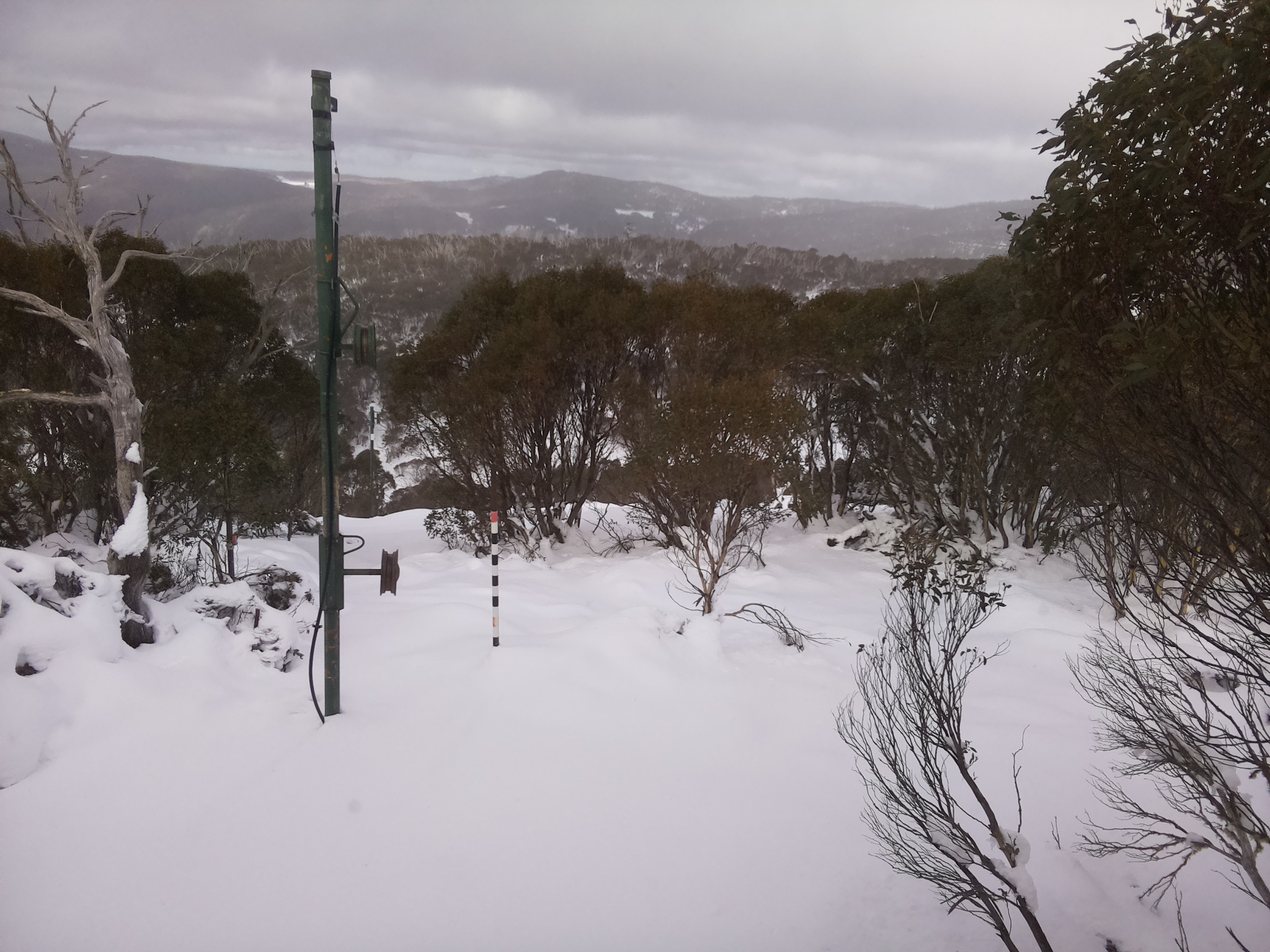 Bogong Web Cam 12:30pm Sunday 15th of June 2025