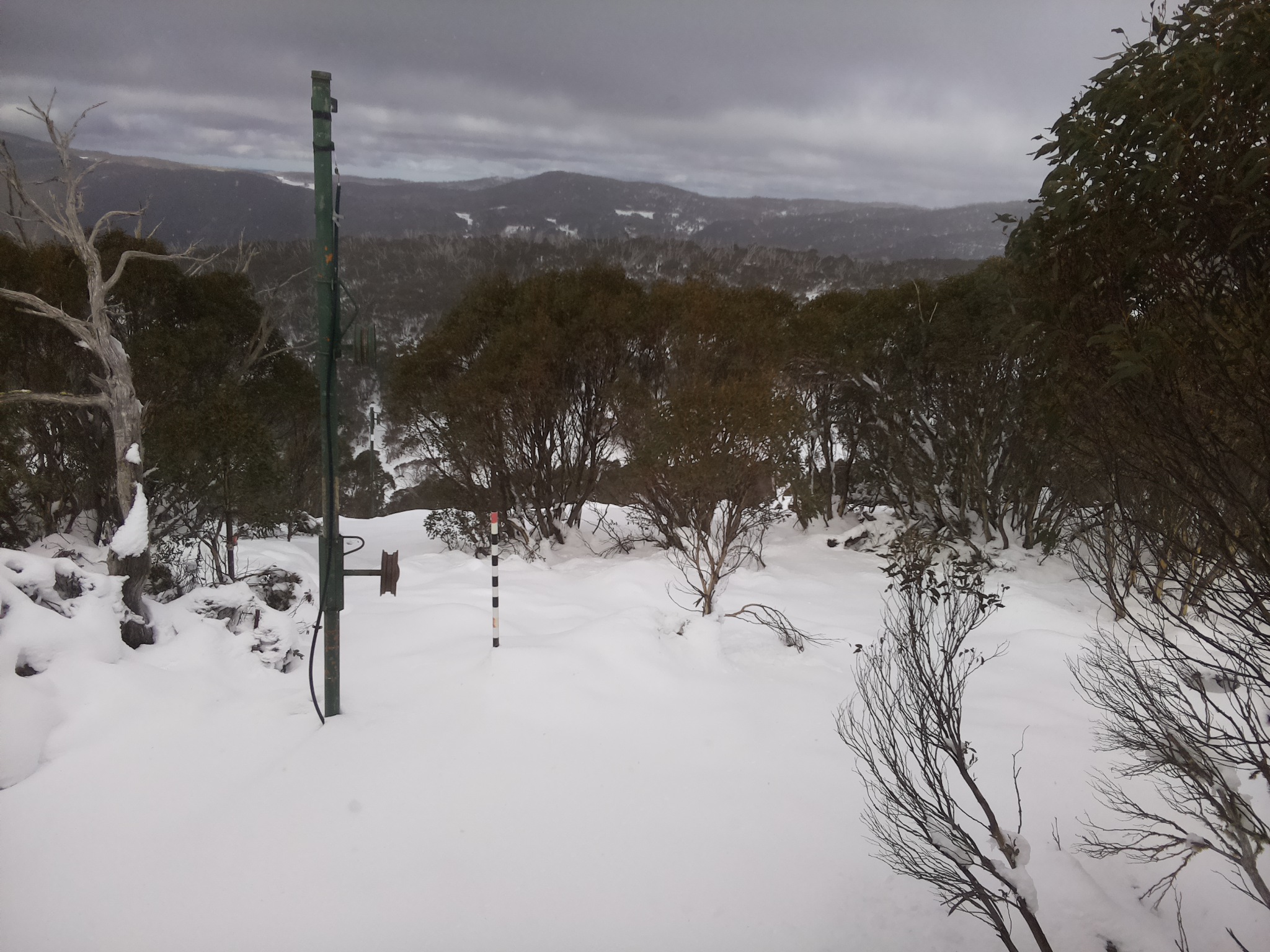 Bogong Web Cam 12:40pm Sunday 15th of June 2025