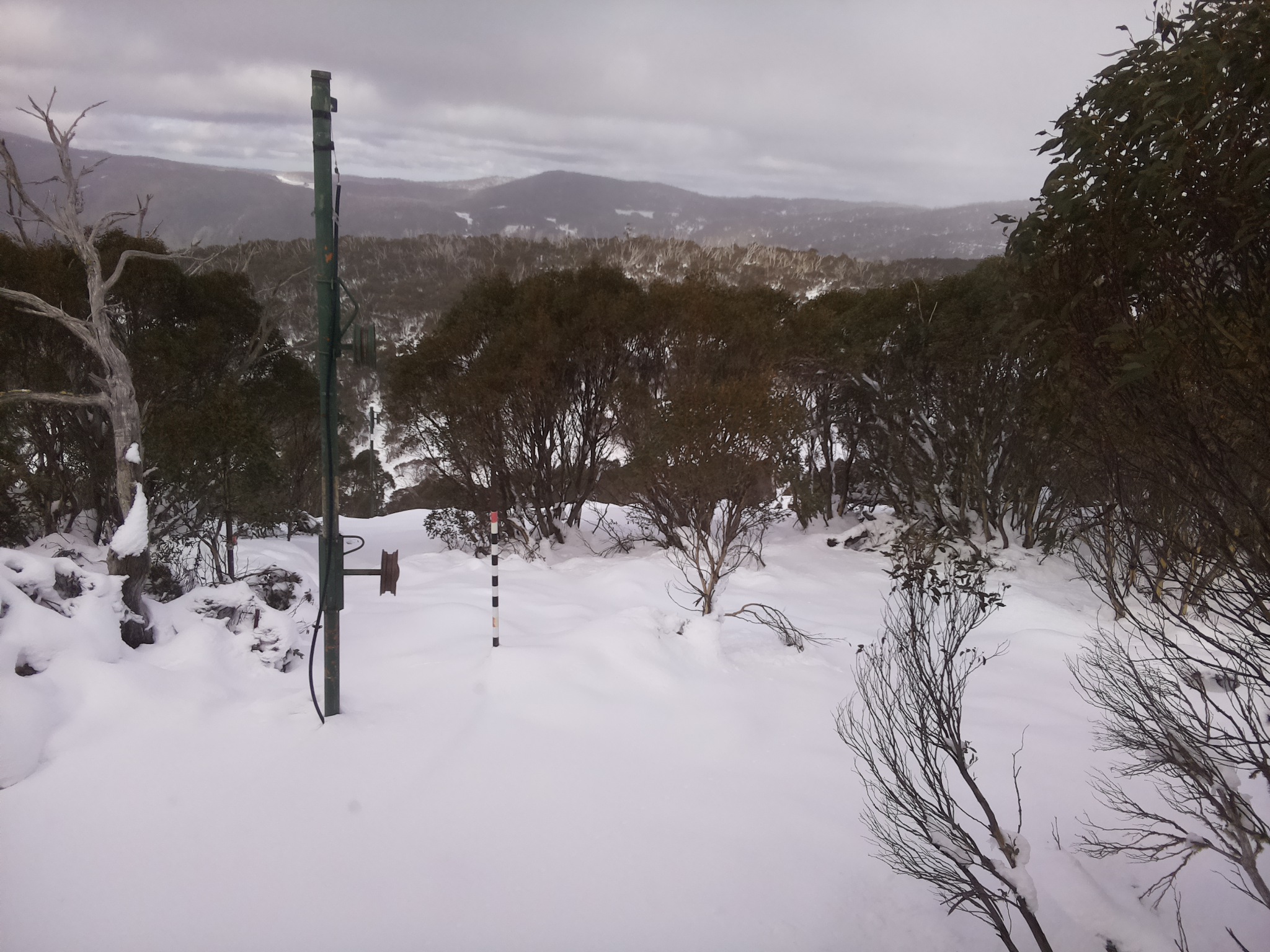 Bogong Web Cam 12:50pm Sunday 15th of June 2025