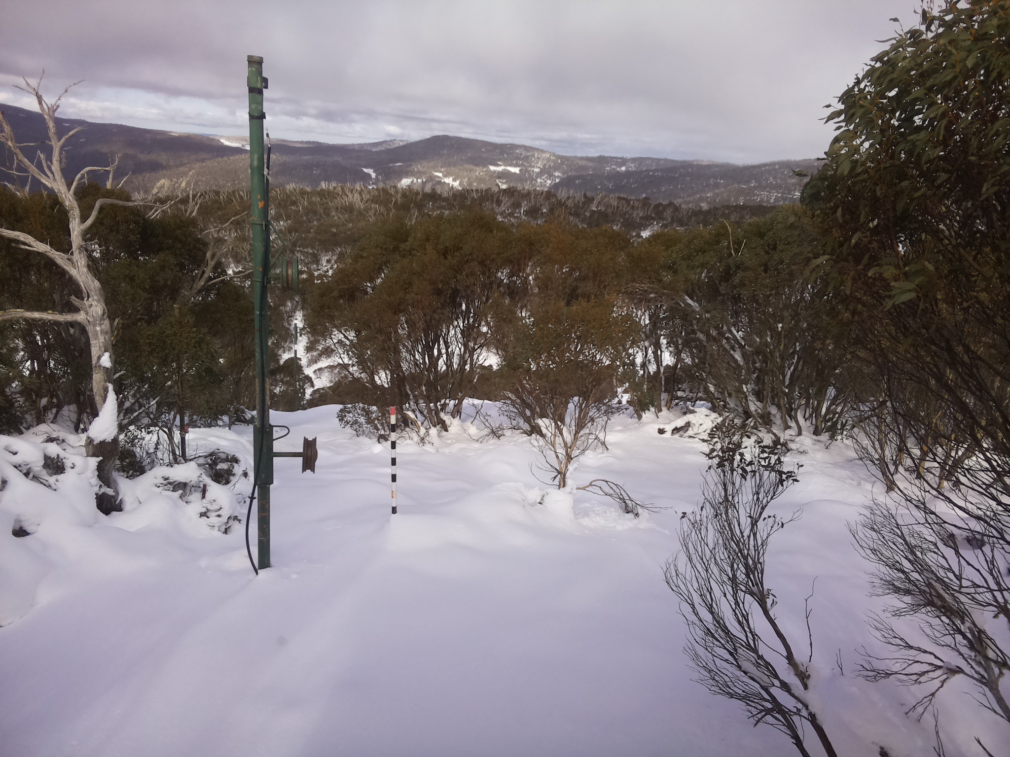 Bogong Web Cam 1:10pm Sunday 15th of June 2025