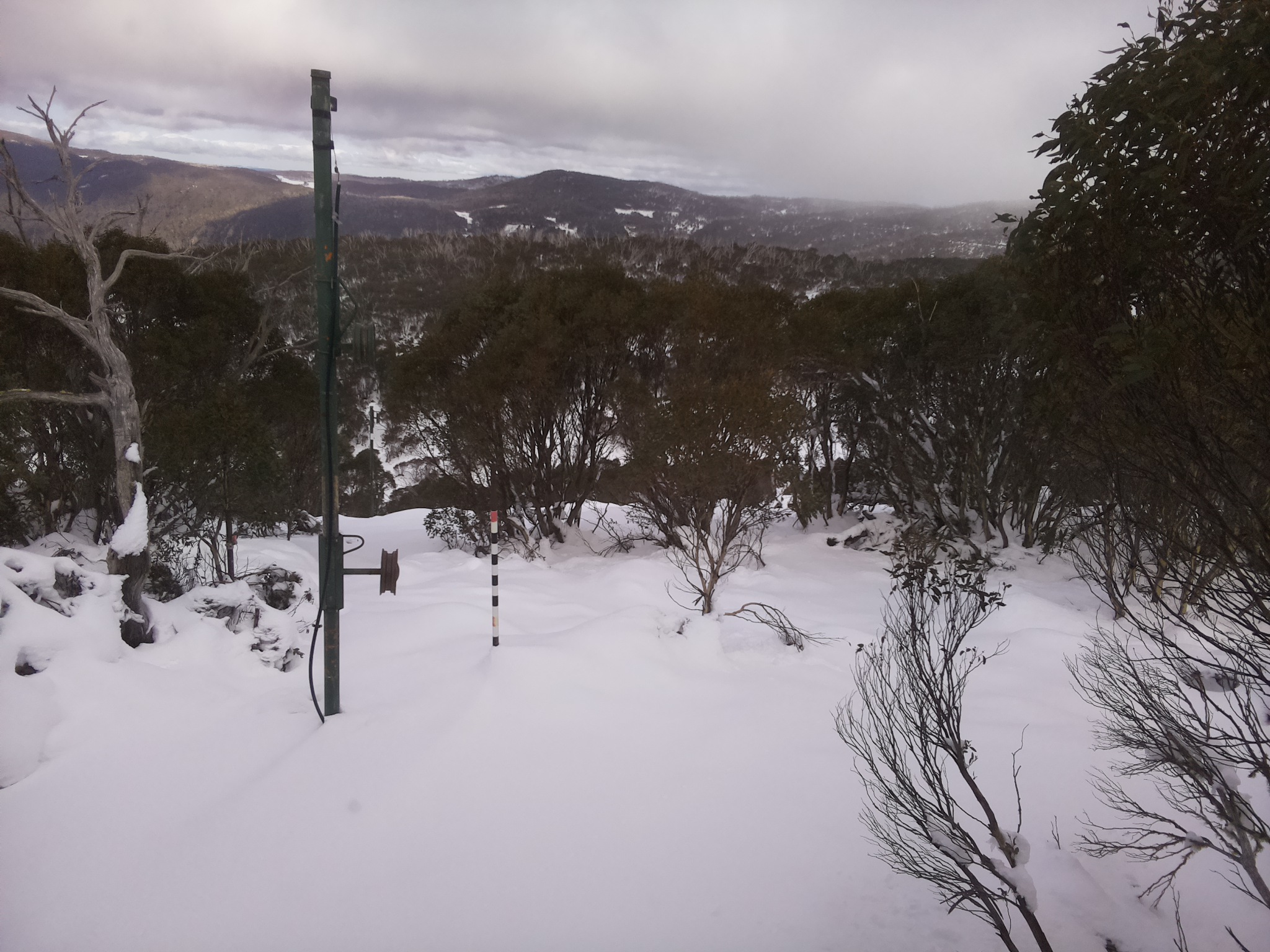 Bogong Web Cam 1:20pm Sunday 15th of June 2025