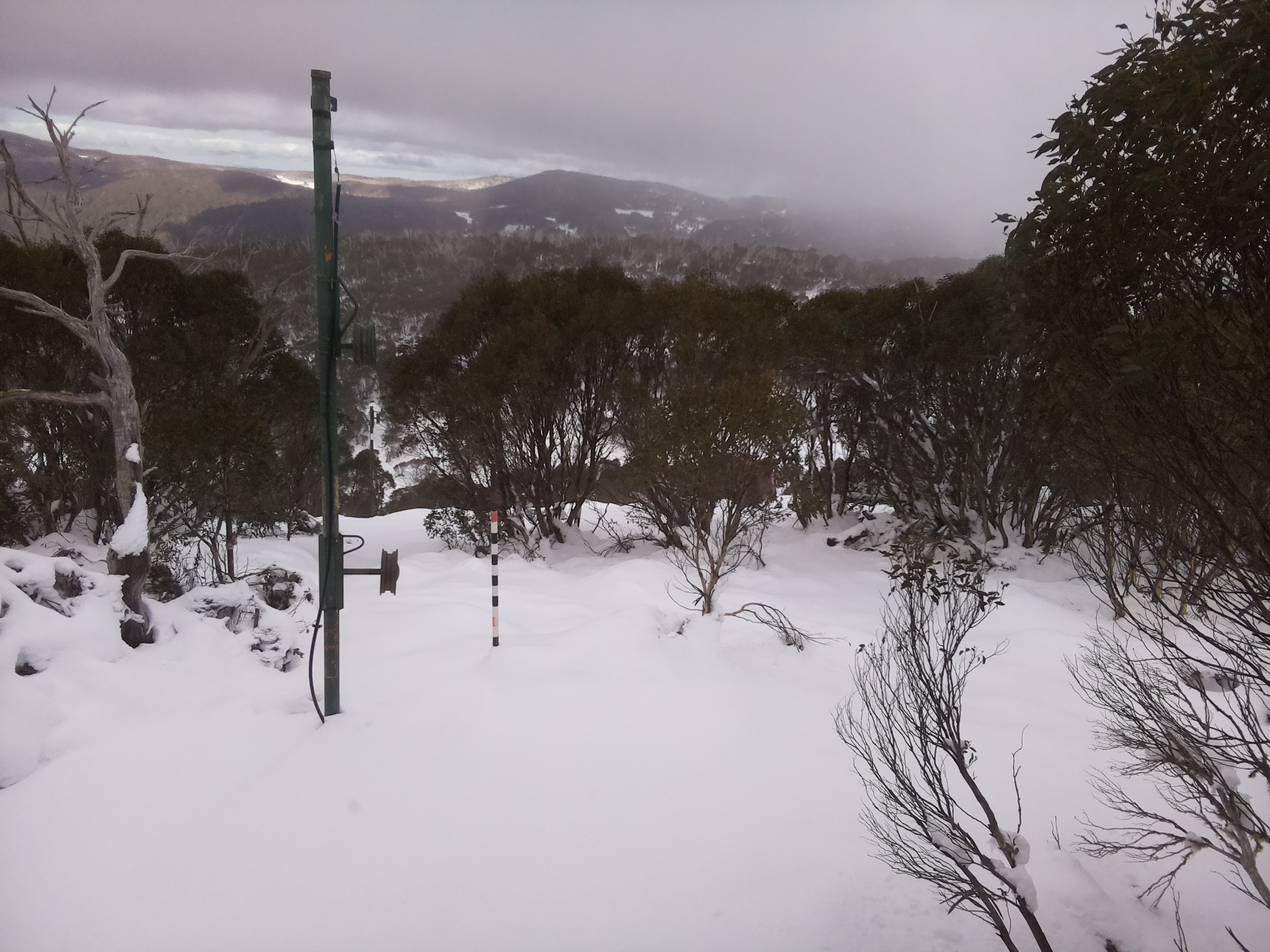 Bogong Web Cam 1:30pm Sunday 15th of June 2025