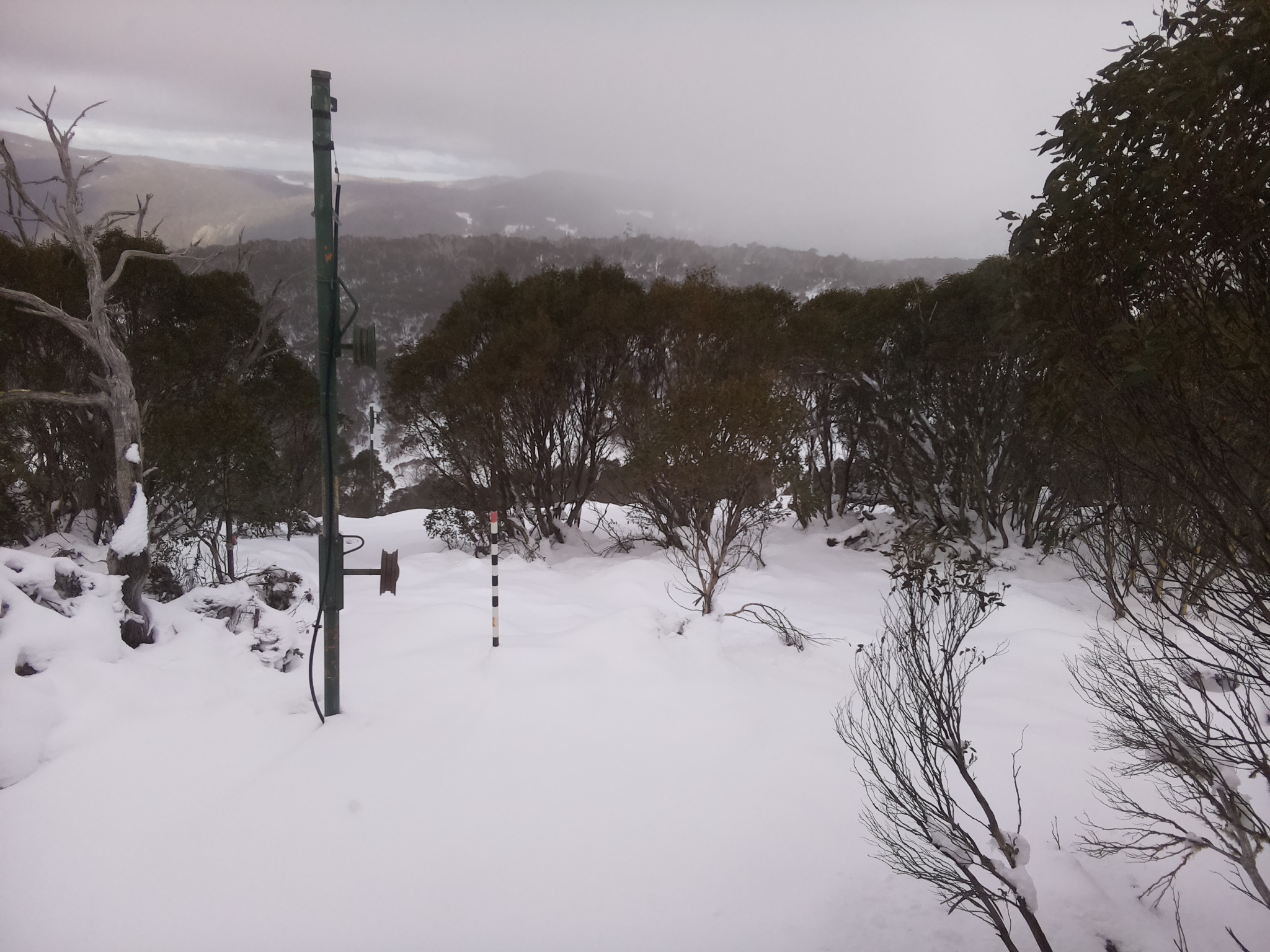 Bogong Web Cam 1:40pm Sunday 15th of June 2025