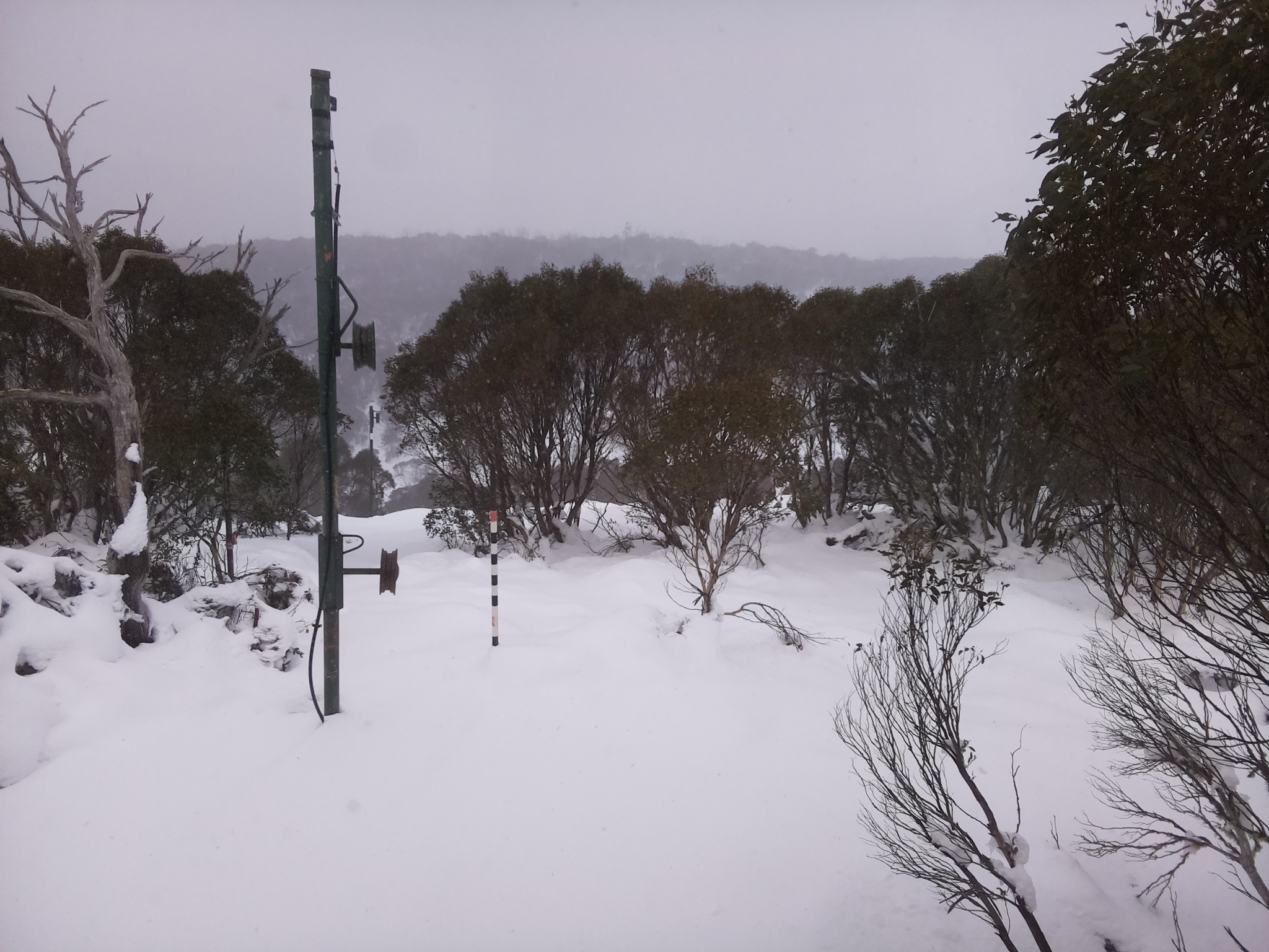 Bogong Web Cam 2:10pm Sunday 15th of June 2025