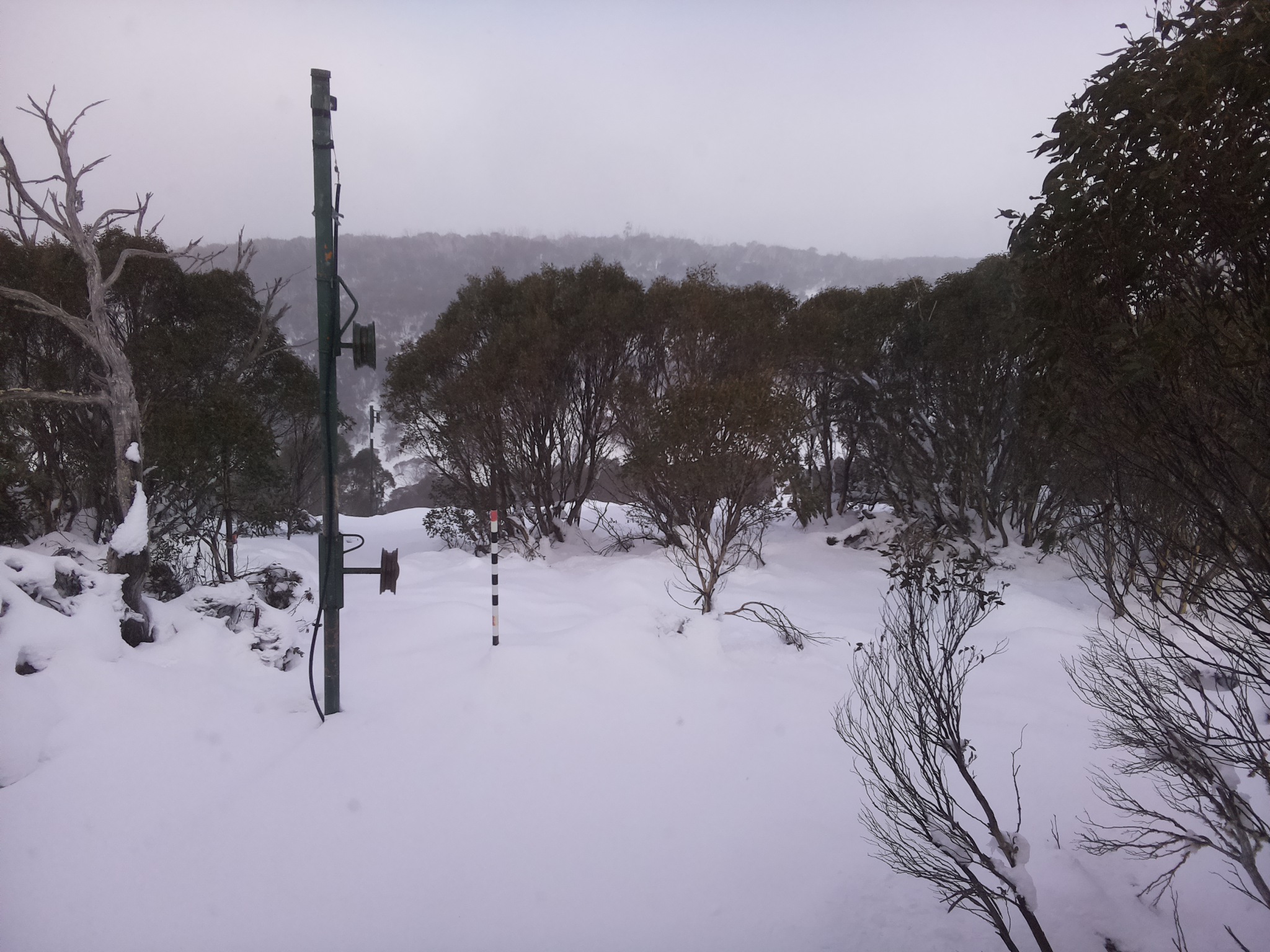 Bogong Web Cam 2:40pm Sunday 15th of June 2025