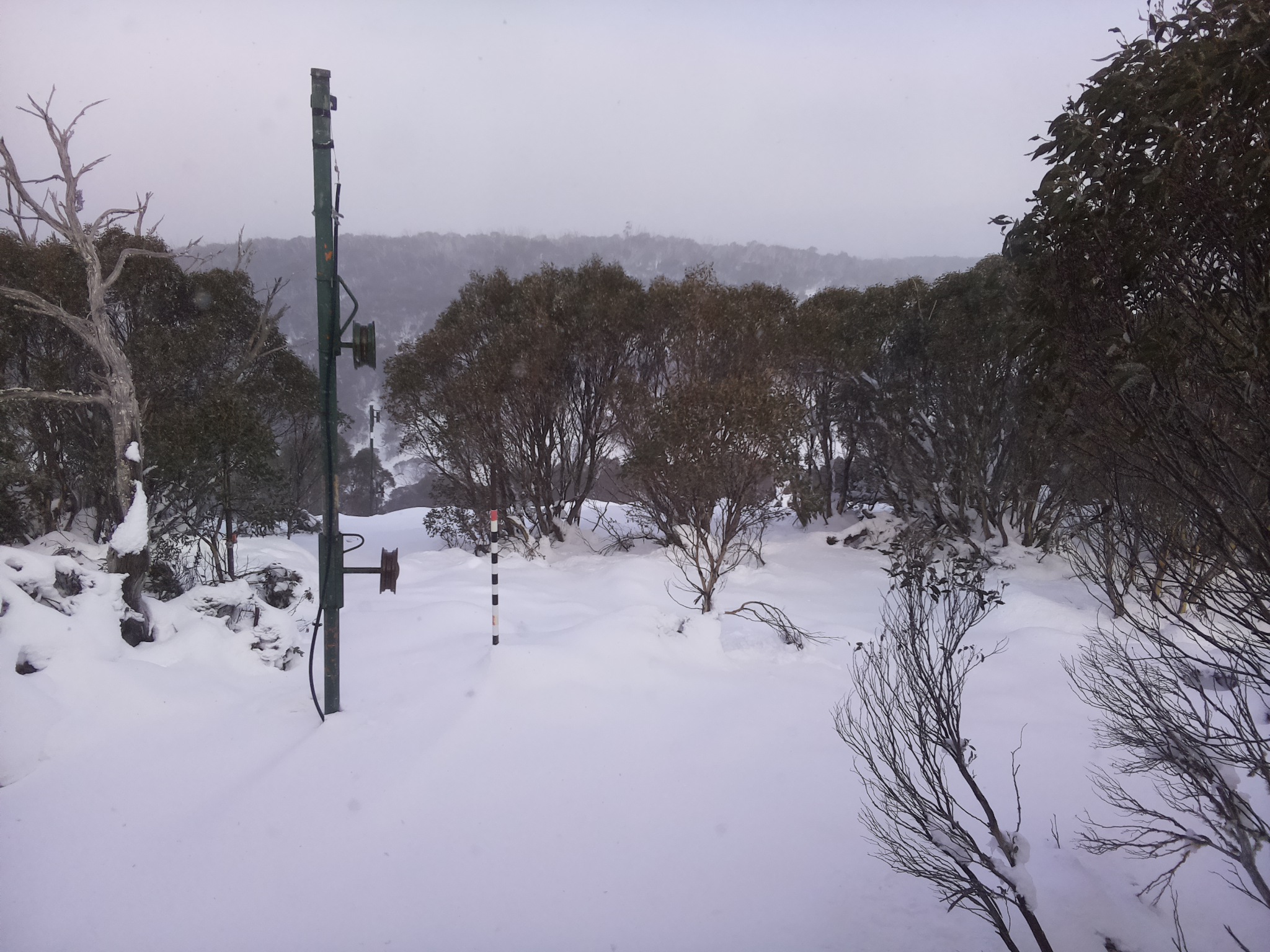 Bogong Web Cam 3:00pm Sunday 15th of June 2025