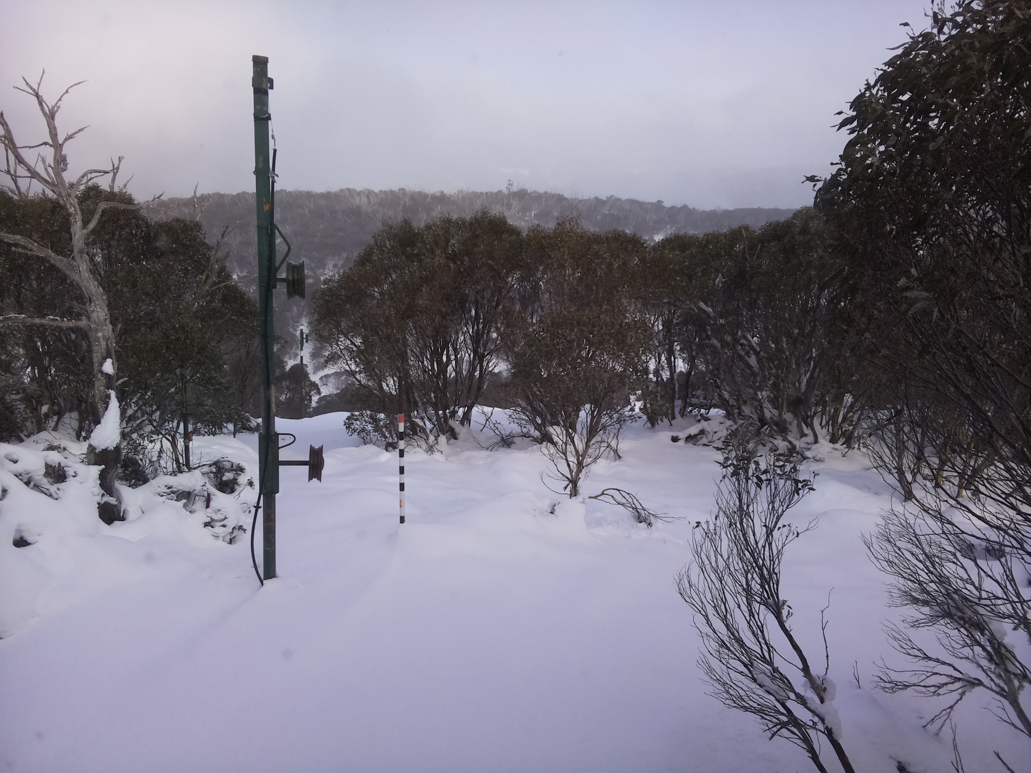 Bogong Web Cam 3:10pm Sunday 15th of June 2025
