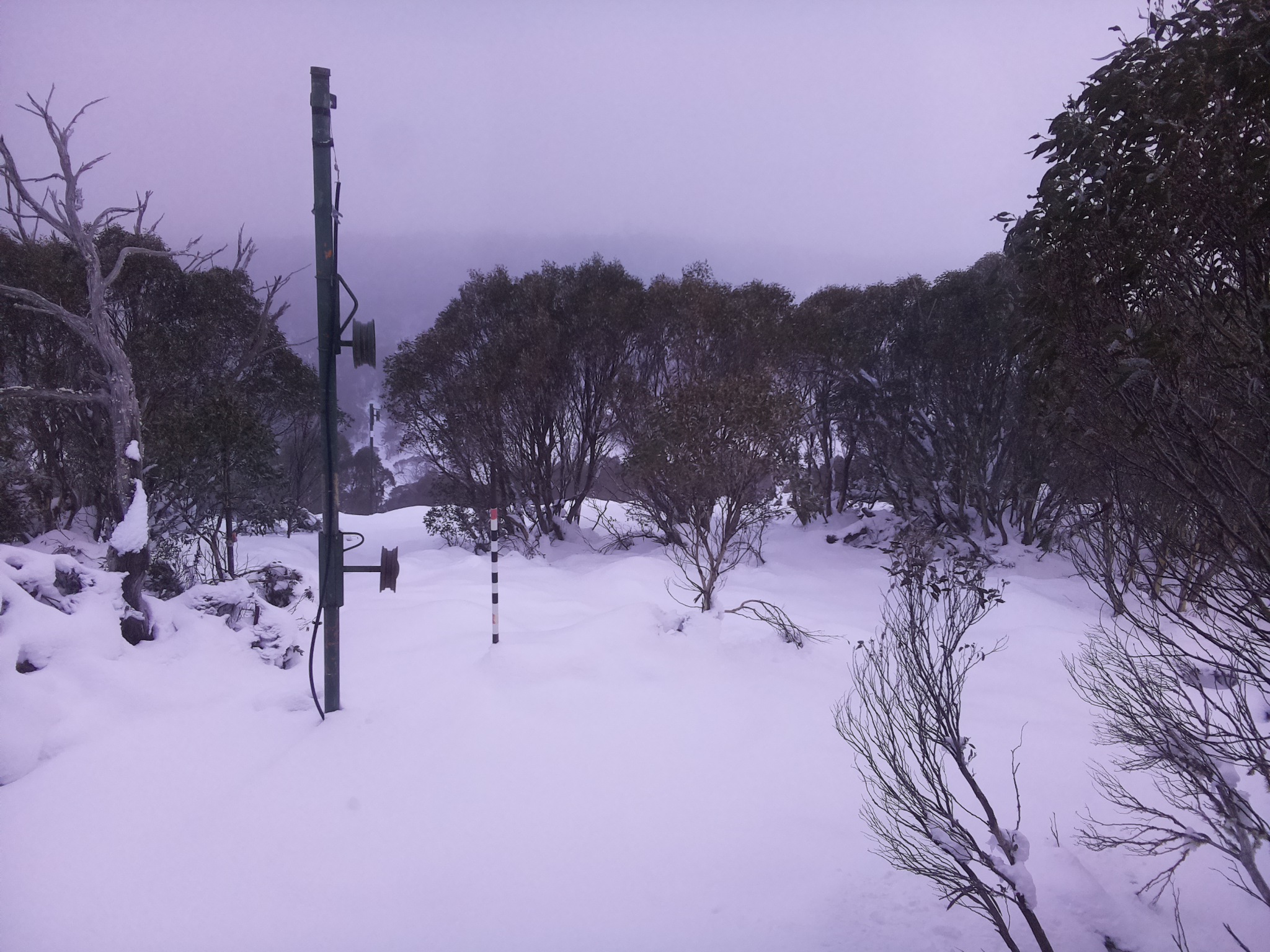 Bogong Web Cam 4:30pm Sunday 15th of June 2025