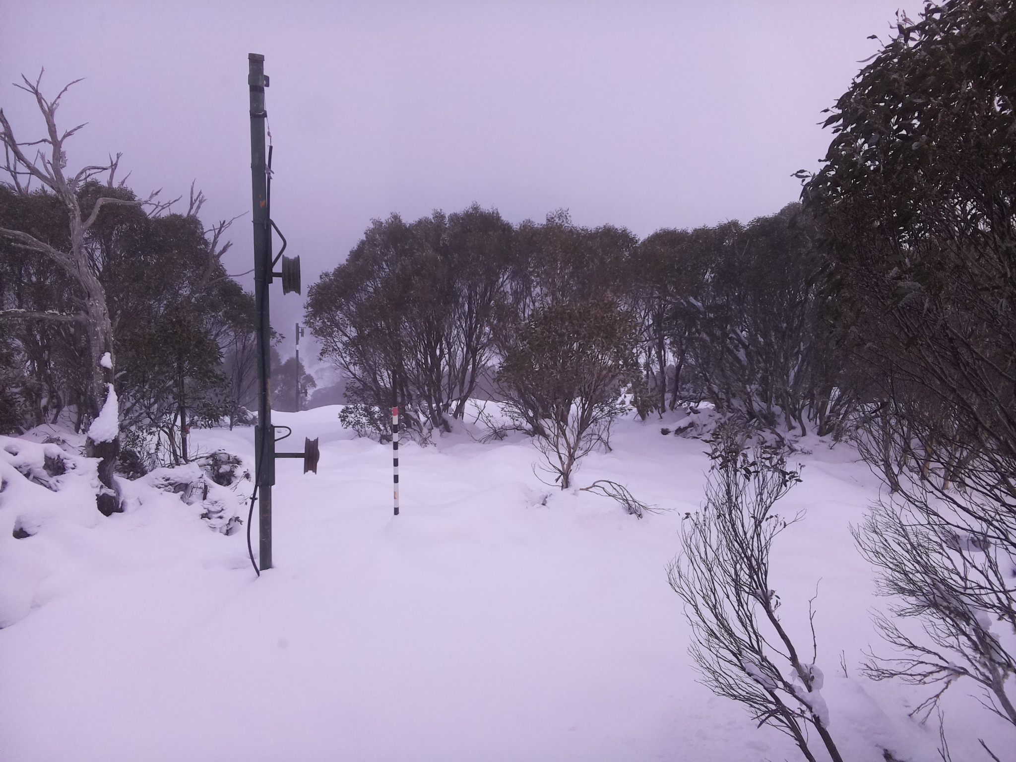 Bogong Web Cam 4:40pm Sunday 15th of June 2025
