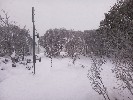 Thumbnail 8:50am Monday 16th of June 2025