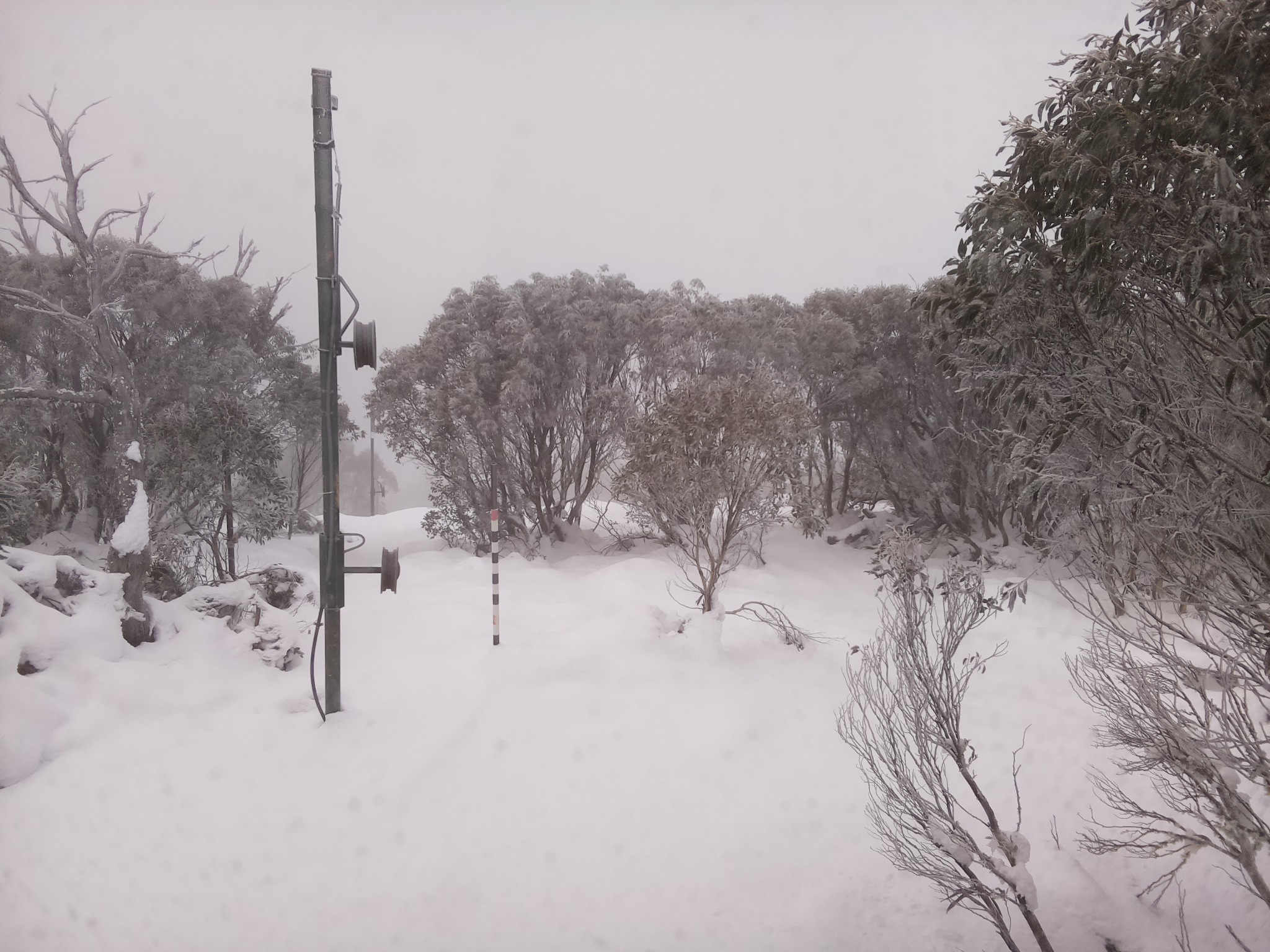 Bogong Web Cam 9:10am Monday 16th of June 2025