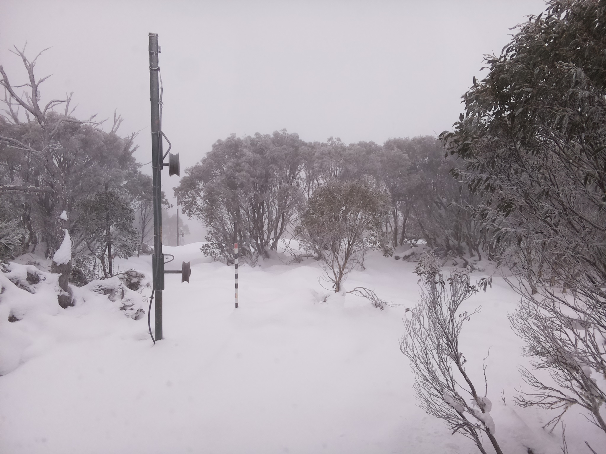 Bogong Web Cam 9:30am Monday 16th of June 2025