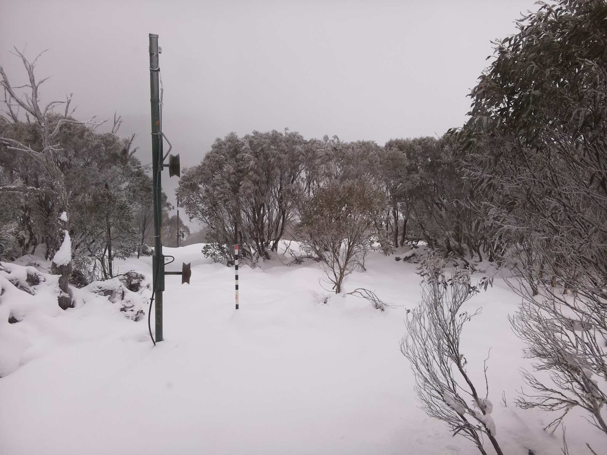 Bogong Web Cam 11:40am Monday 16th of June 2025