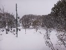 Selected Thumbnail 12:30pm Monday 16th of June 2025