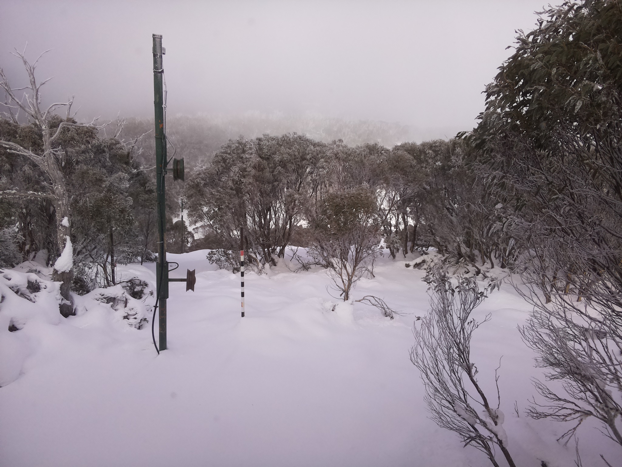 Bogong Web Cam 12:50pm Monday 16th of June 2025