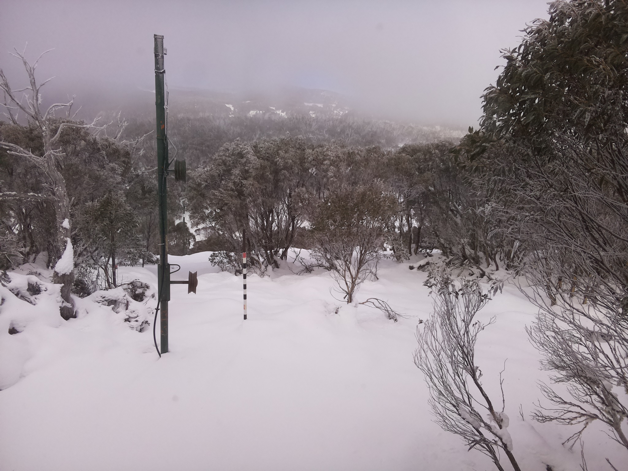Bogong Web Cam 1:00pm Monday 16th of June 2025