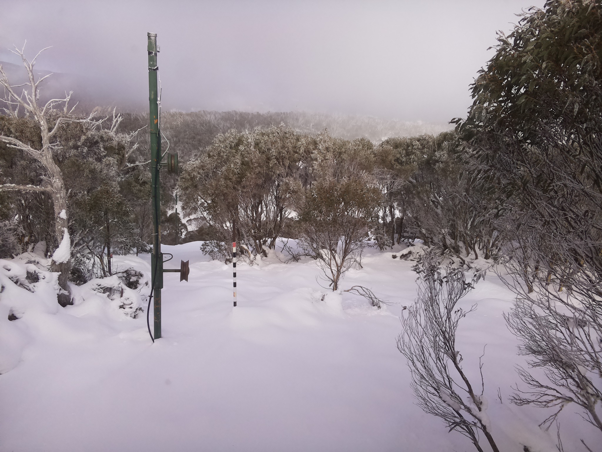 Bogong Web Cam 2:00pm Monday 16th of June 2025