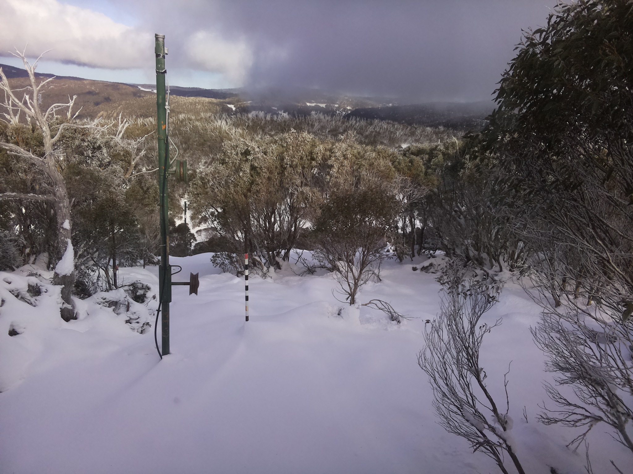 Bogong Web Cam 3:00pm Monday 16th of June 2025
