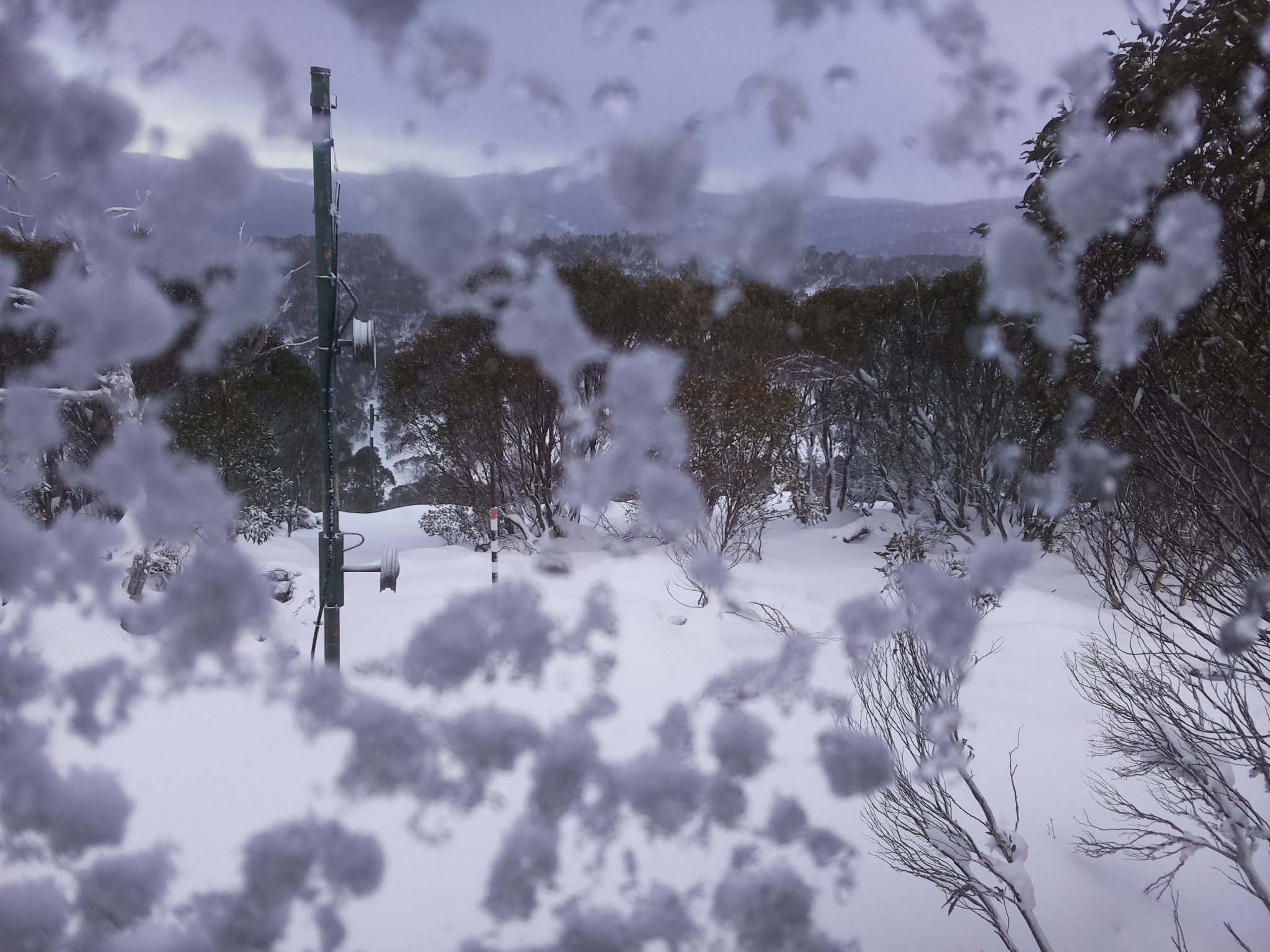 Bogong Web Cam 4:10pm Tuesday 17th of June 2025