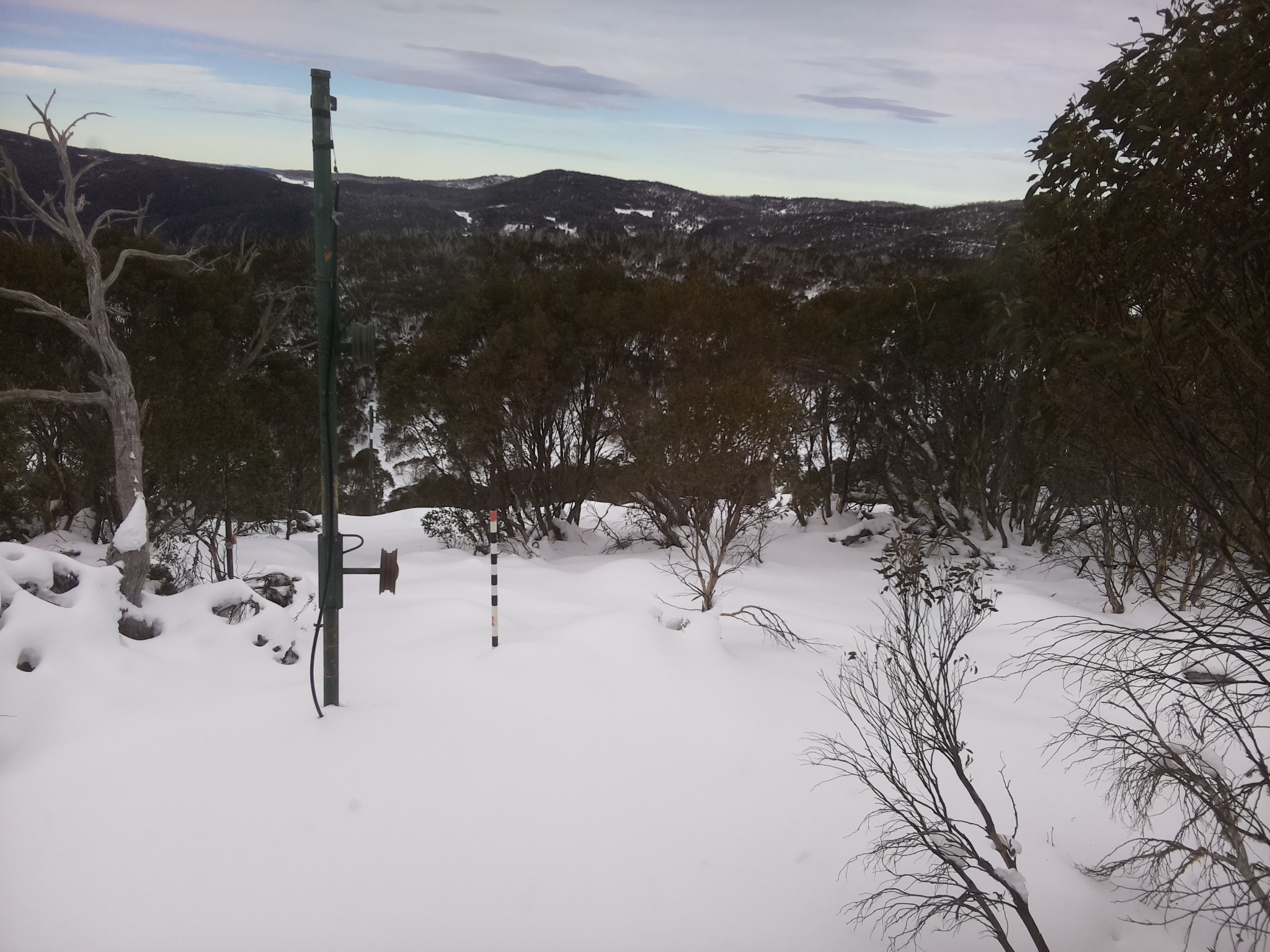 Bogong Web Cam 11:00am Thursday 19th of June 2025
