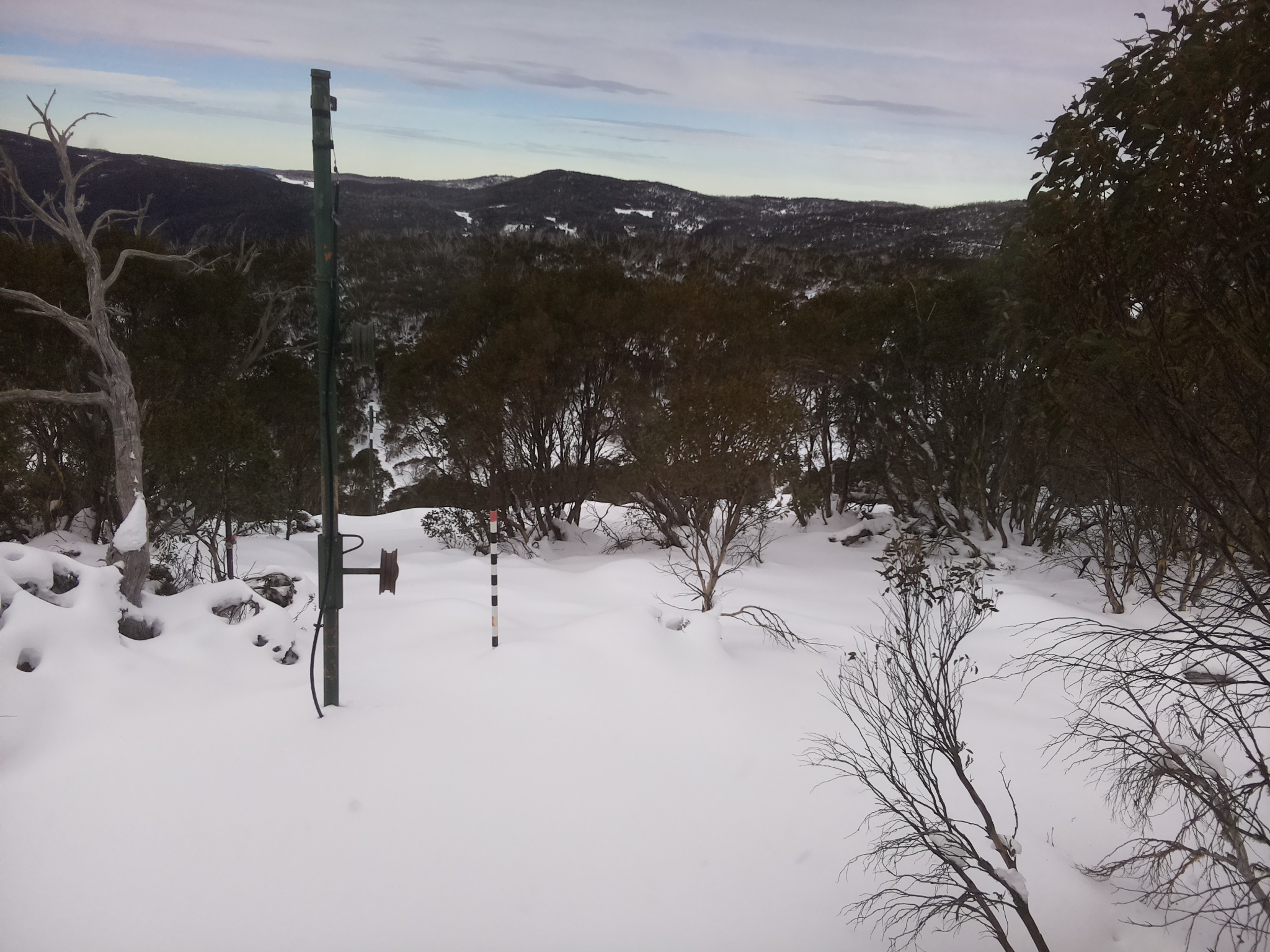 Bogong Web Cam 11:10am Thursday 19th of June 2025
